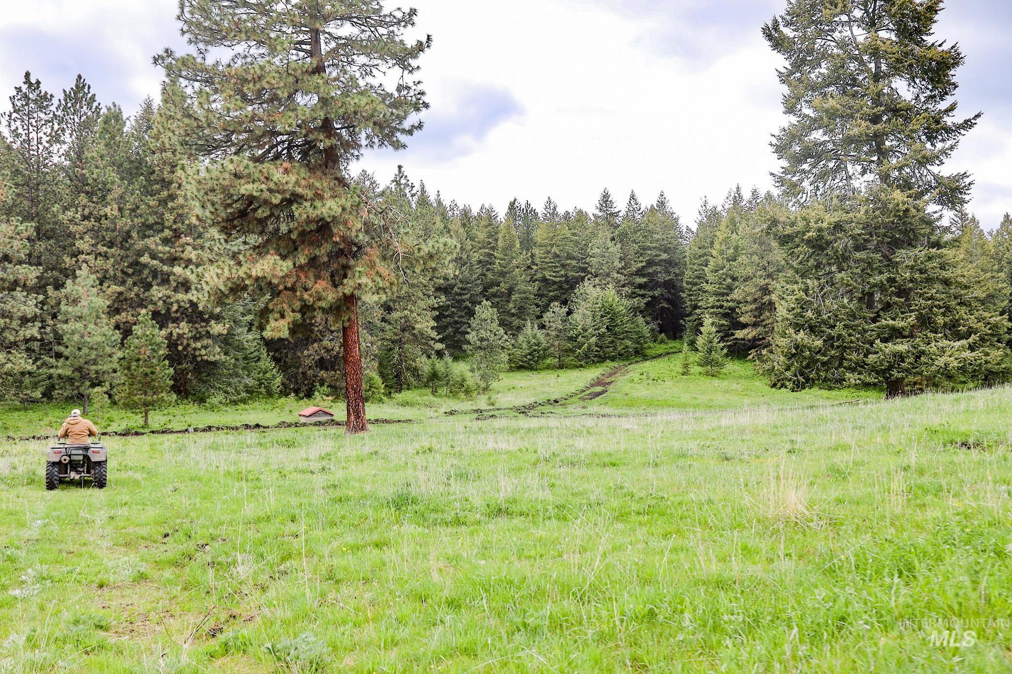 205 Burnt Creek Road, CottonWood, Idaho 83522, 1 Bedroom, 1 Bathroom, Farm & Ranch For Sale, Price $3,866,800,MLS 98947716