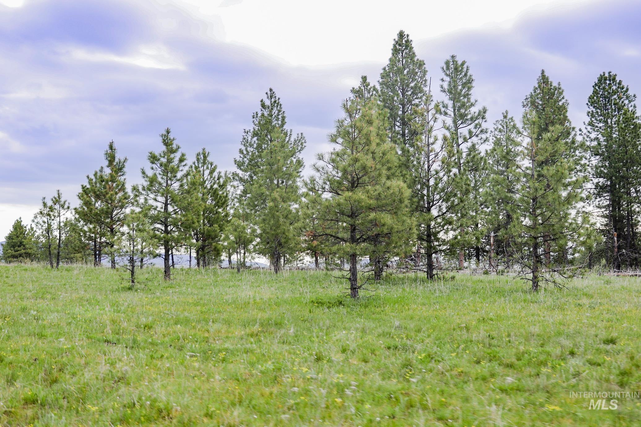 205 Burnt Creek Road, CottonWood, Idaho 83522, 1 Bedroom, 1 Bathroom, Farm & Ranch For Sale, Price $3,866,800,MLS 98947716