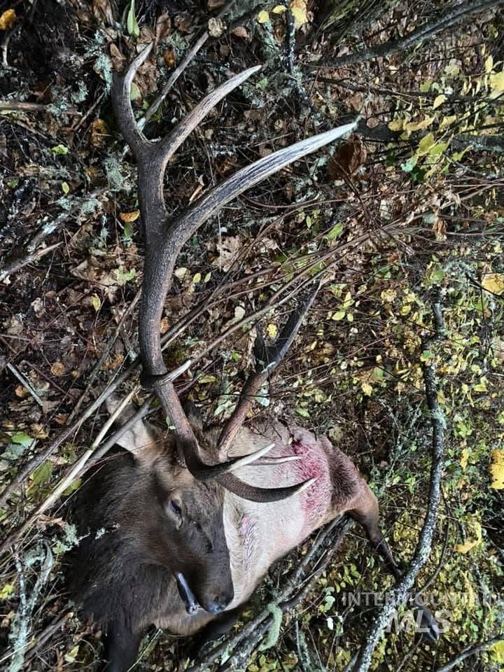 205 Burnt Creek Road, CottonWood, Idaho 83522, 1 Bedroom, 1 Bathroom, Farm & Ranch For Sale, Price $3,866,800,MLS 98947716