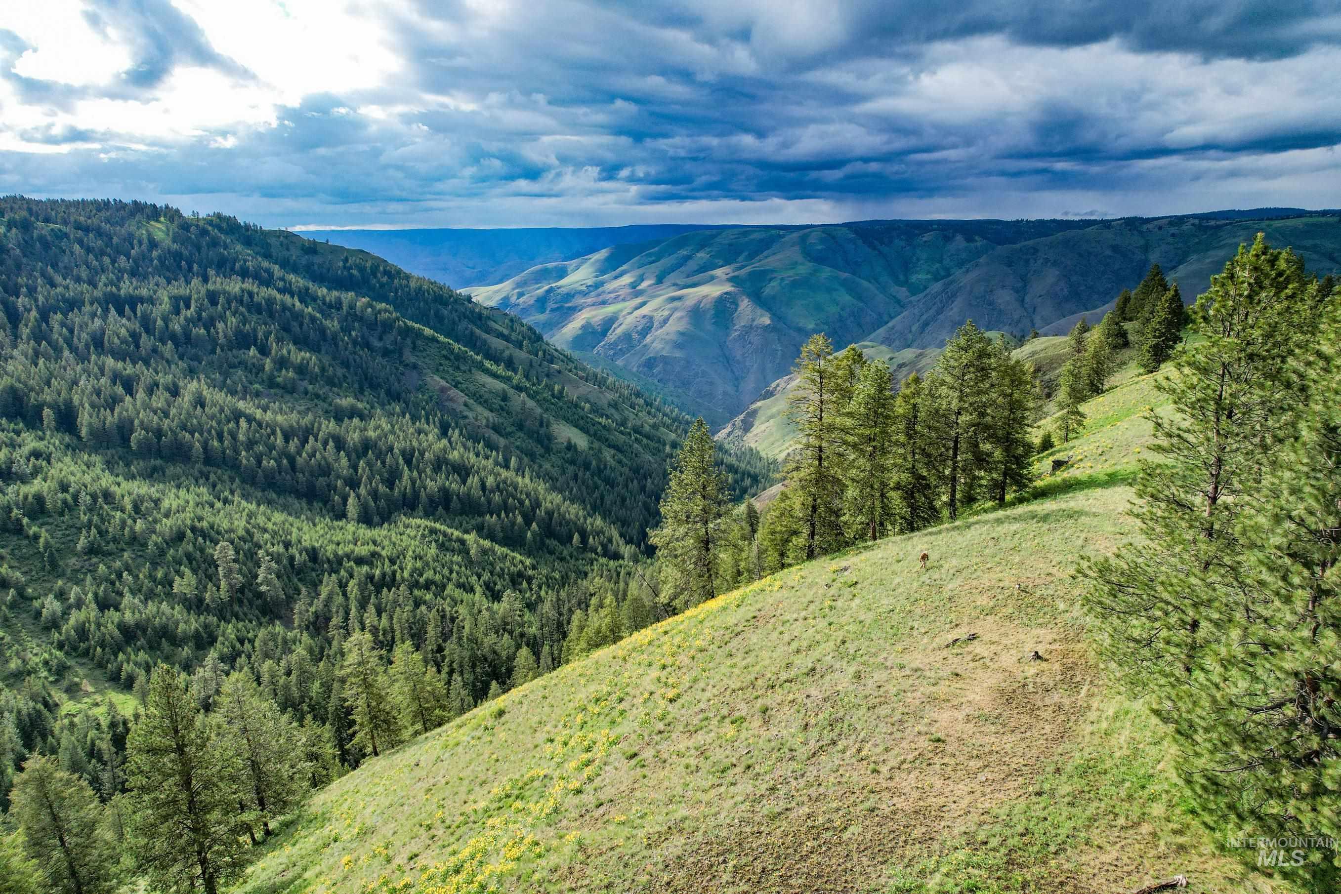 205 Burnt Creek Road, CottonWood, Idaho 83522, 1 Bedroom, 1 Bathroom, Farm & Ranch For Sale, Price $3,866,800,MLS 98947716