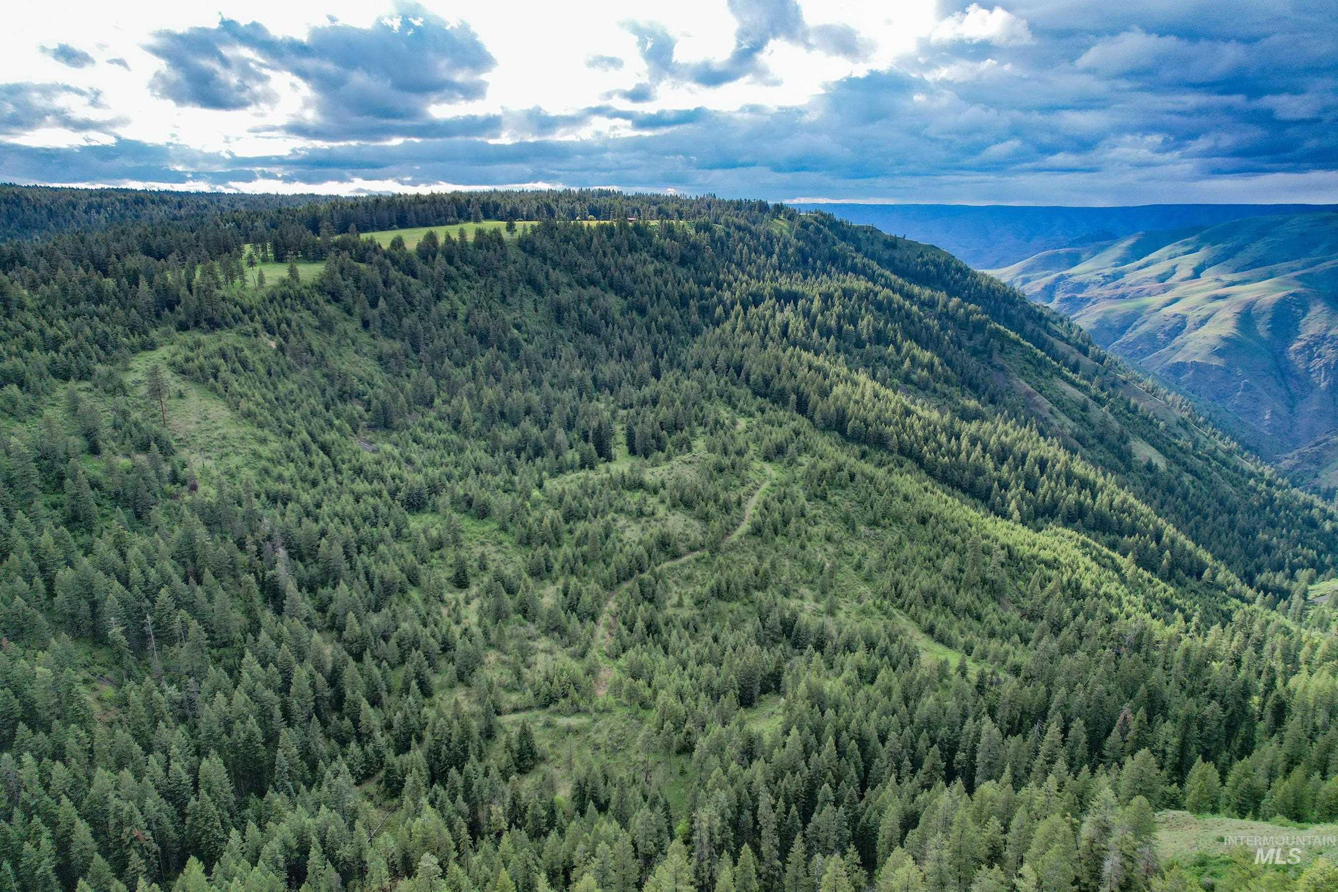 205 Burnt Creek Road, CottonWood, Idaho 83522, 1 Bedroom, 1 Bathroom, Farm & Ranch For Sale, Price $3,866,800,MLS 98947716