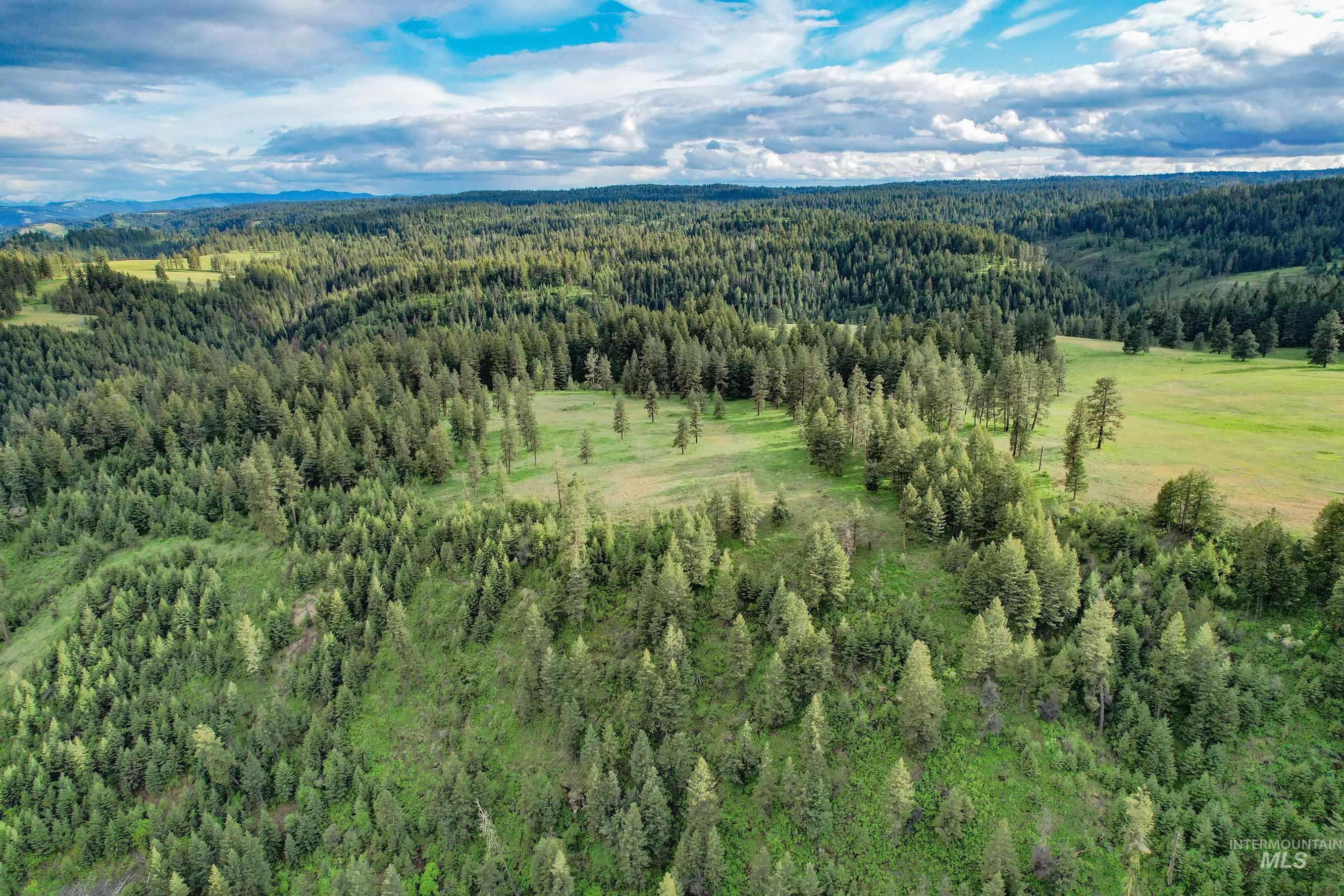 205 Burnt Creek Road, CottonWood, Idaho 83522, 1 Bedroom, 1 Bathroom, Farm & Ranch For Sale, Price $3,866,800,MLS 98947716