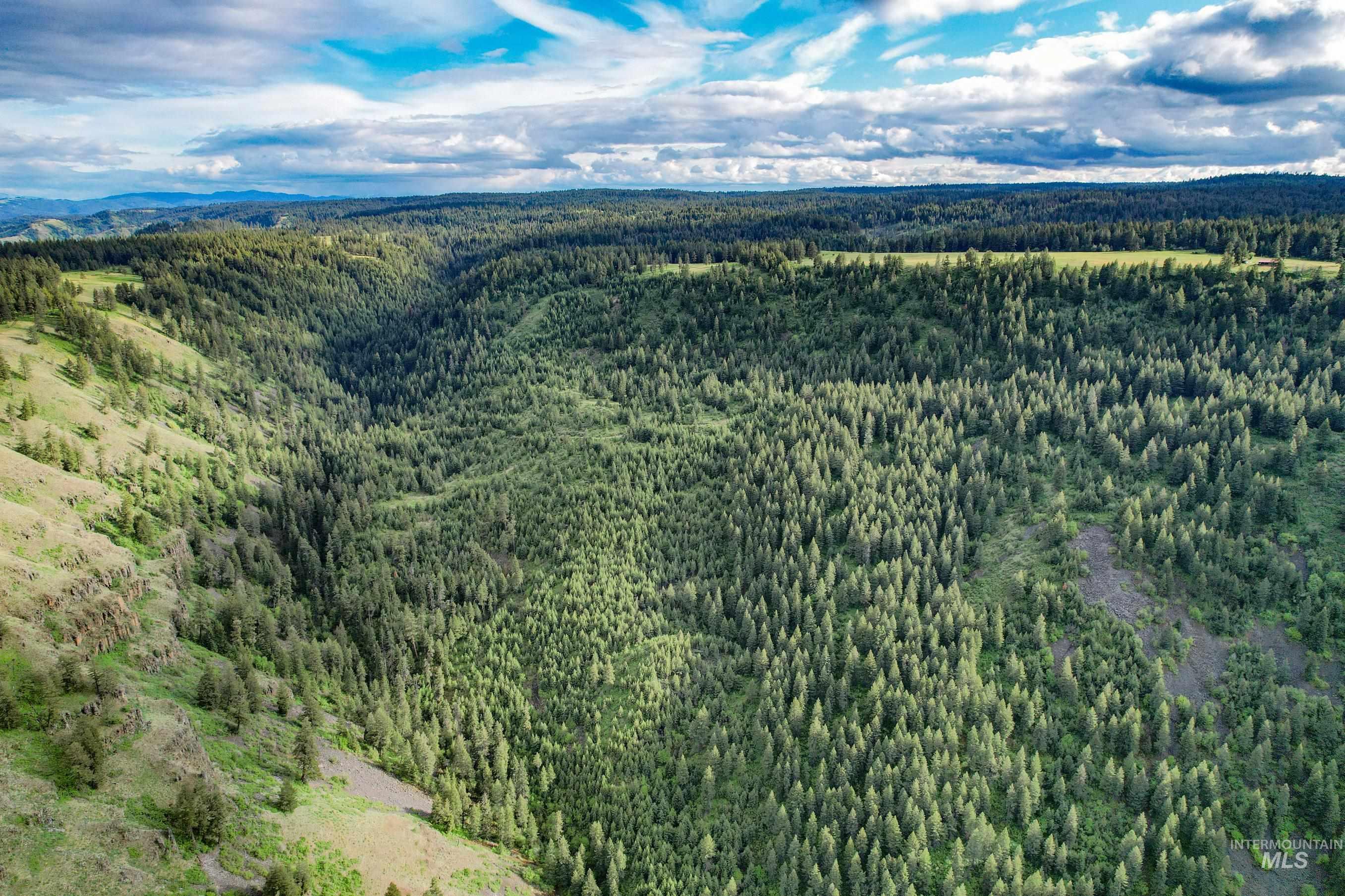 205 Burnt Creek Road, CottonWood, Idaho 83522, 1 Bedroom, 1 Bathroom, Farm & Ranch For Sale, Price $3,866,800,MLS 98947716