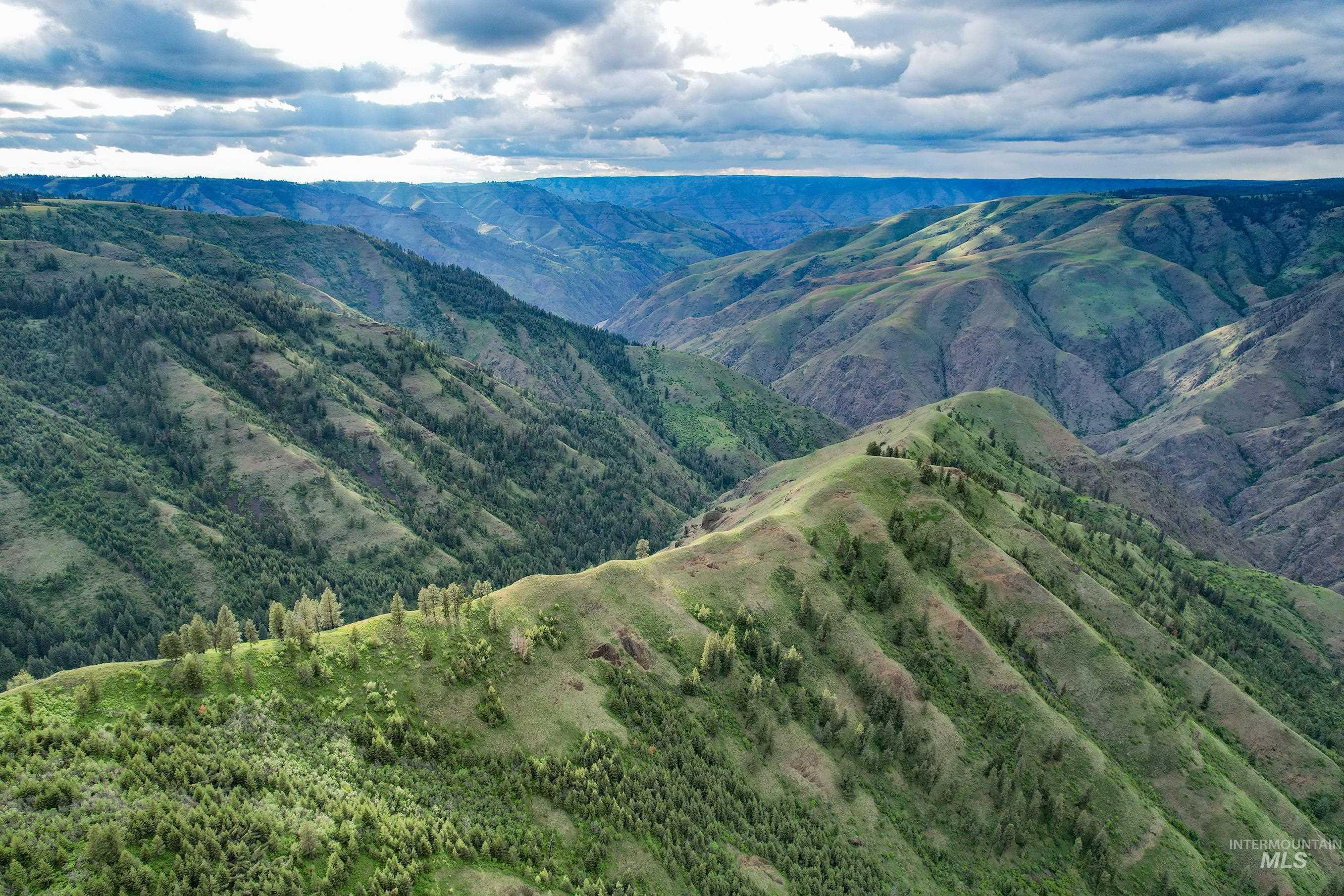 205 Burnt Creek Road, CottonWood, Idaho 83522, 1 Bedroom, 1 Bathroom, Farm & Ranch For Sale, Price $3,866,800,MLS 98947716