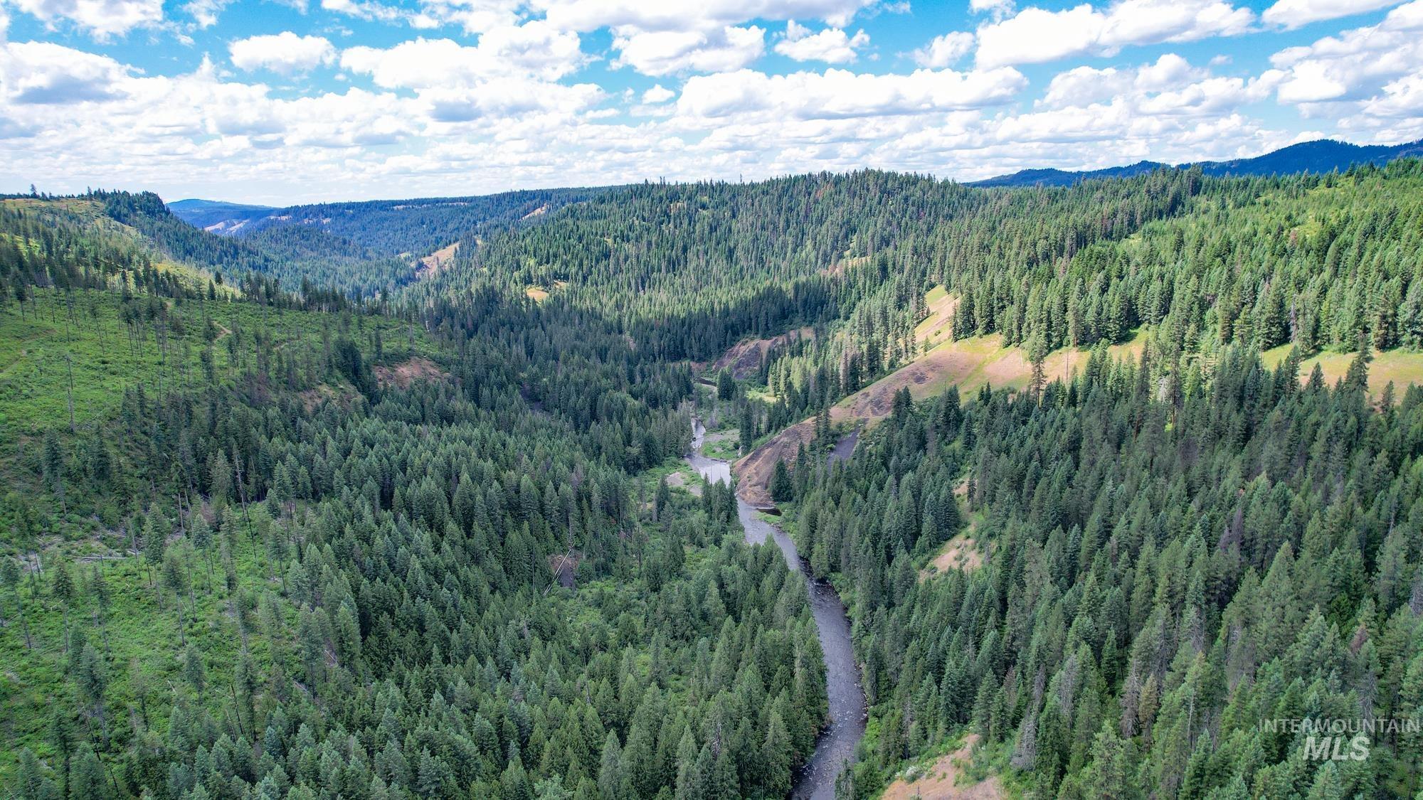 TBD Glenwood Dr, Kamiah, Idaho 83536, Farm & Ranch For Sale, Price $299,999, 98947959