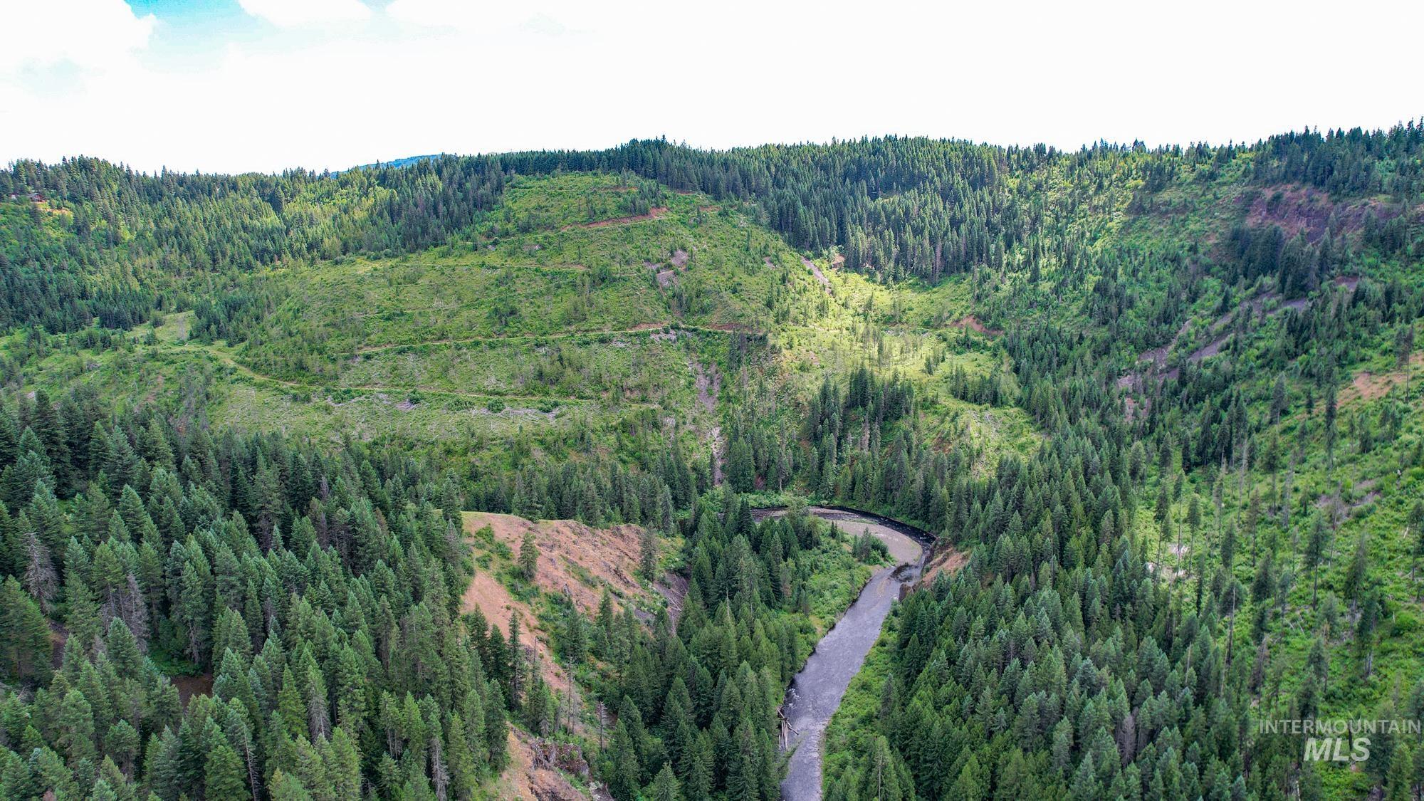 TBD Glenwood Dr, Kamiah, Idaho 83536, Farm & Ranch For Sale, Price $299,999, 98947959