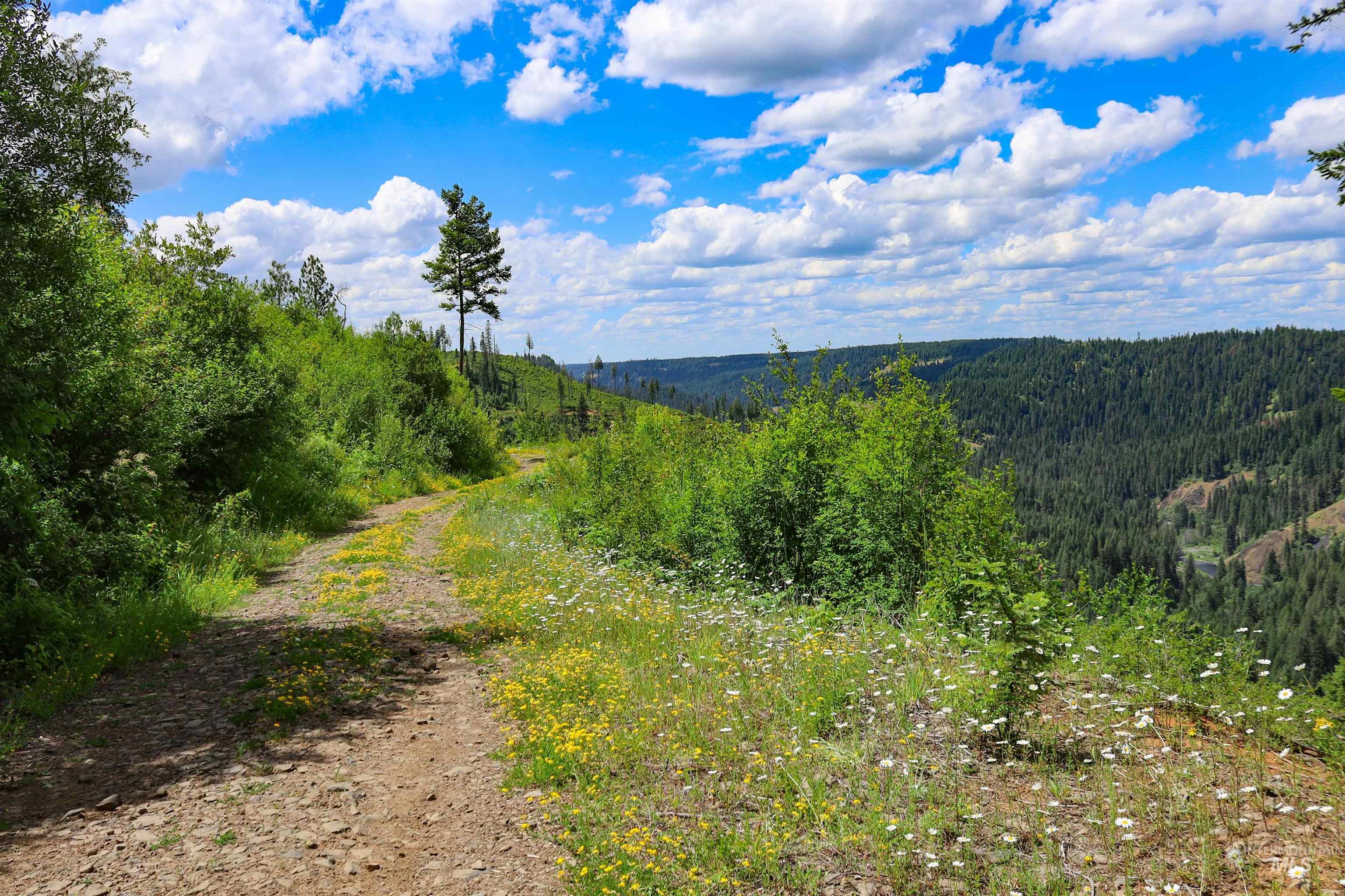 TBD Glenwood Dr, Kamiah, Idaho 83536, Farm & Ranch For Sale, Price $299,999, 98947959