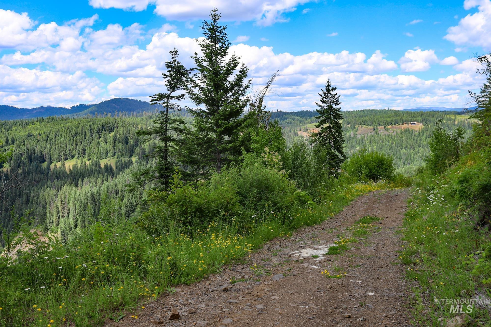 TBD Glenwood Dr, Kamiah, Idaho 83536, Farm & Ranch For Sale, Price $299,999, 98947959