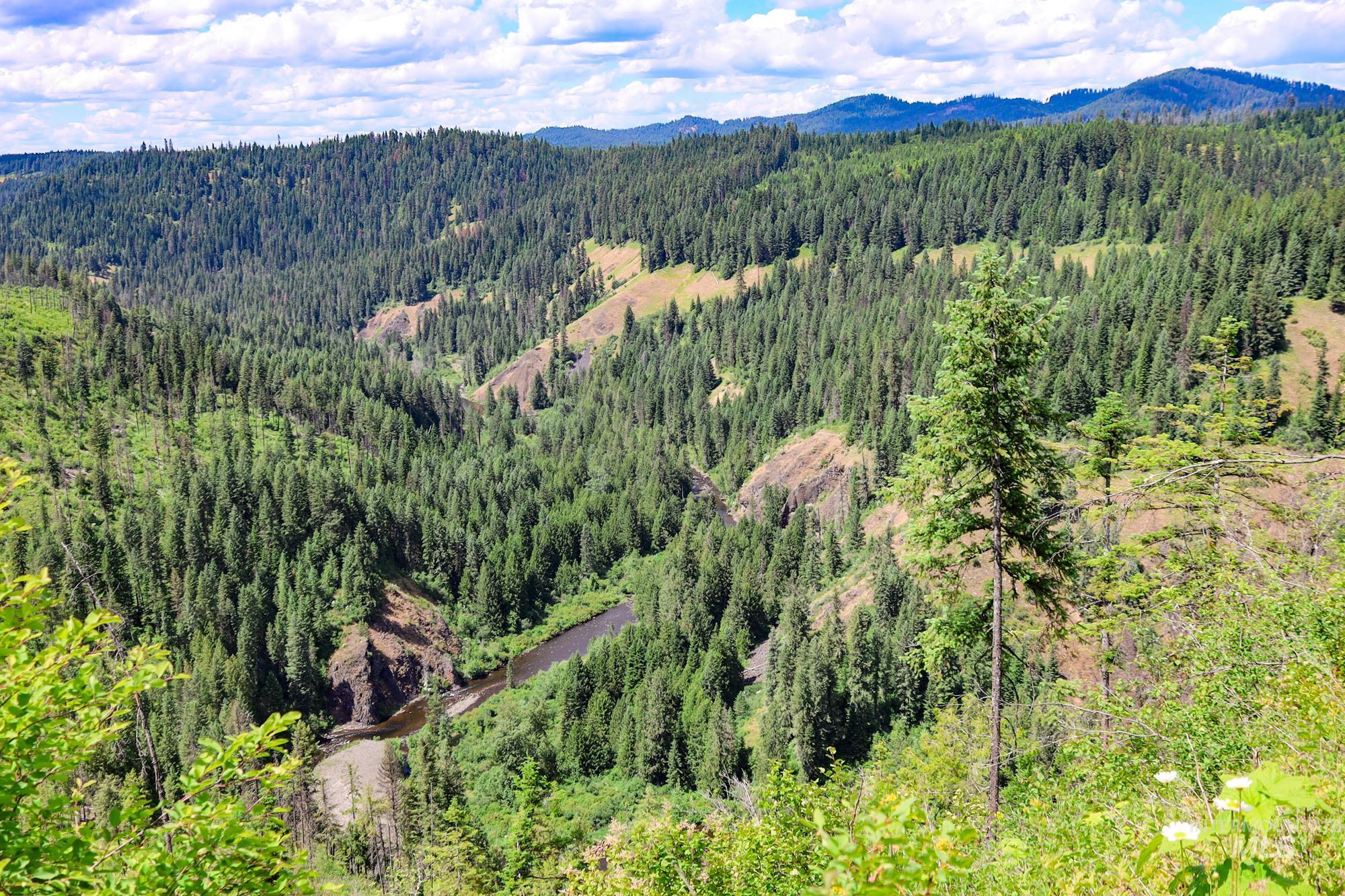 TBD Glenwood Dr, Kamiah, Idaho 83536, Farm & Ranch For Sale, Price $299,999, 98947959