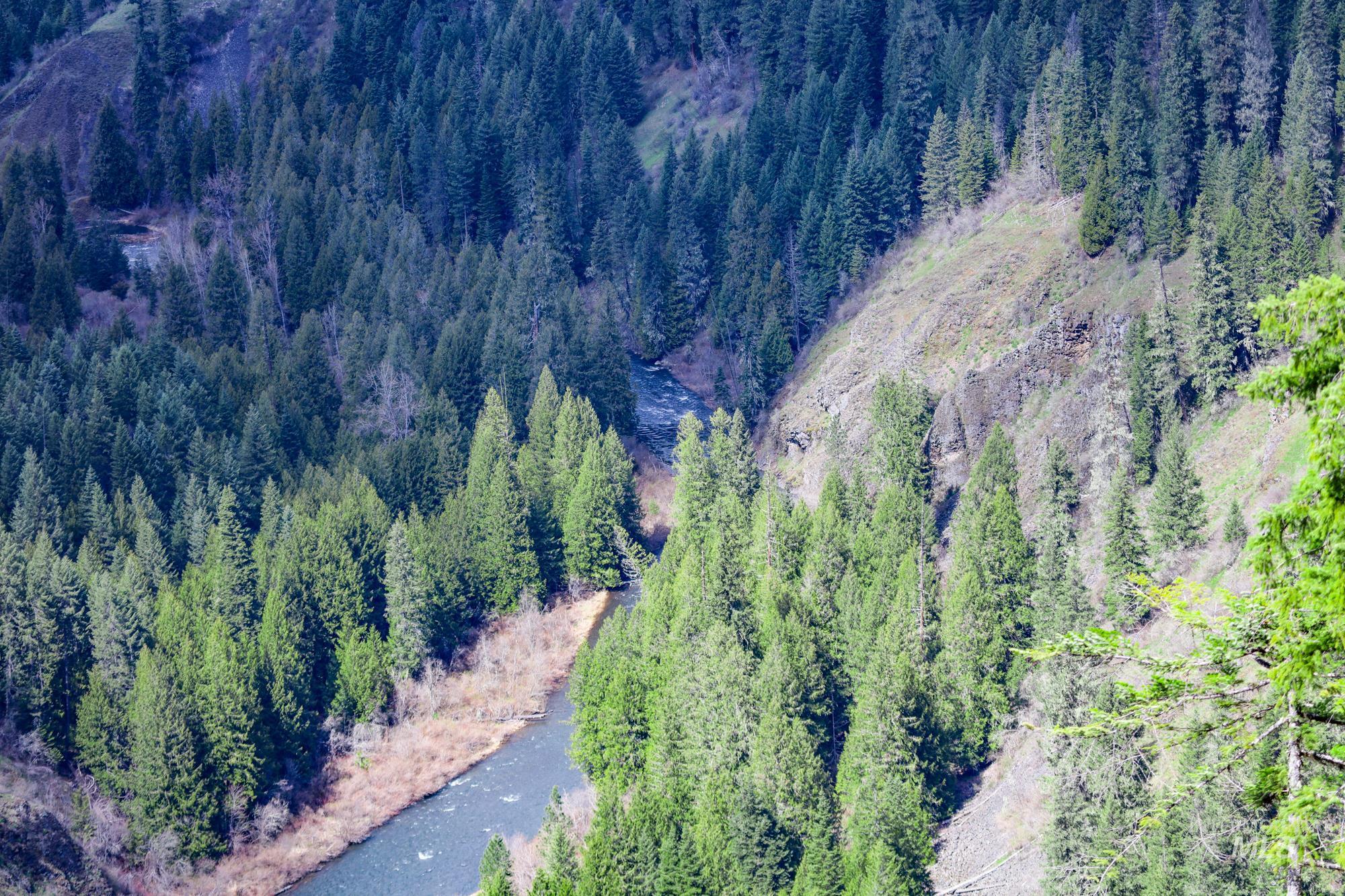 TBD Glenwood Dr, Kamiah, Idaho 83536, Farm & Ranch For Sale, Price $299,999, 98947959