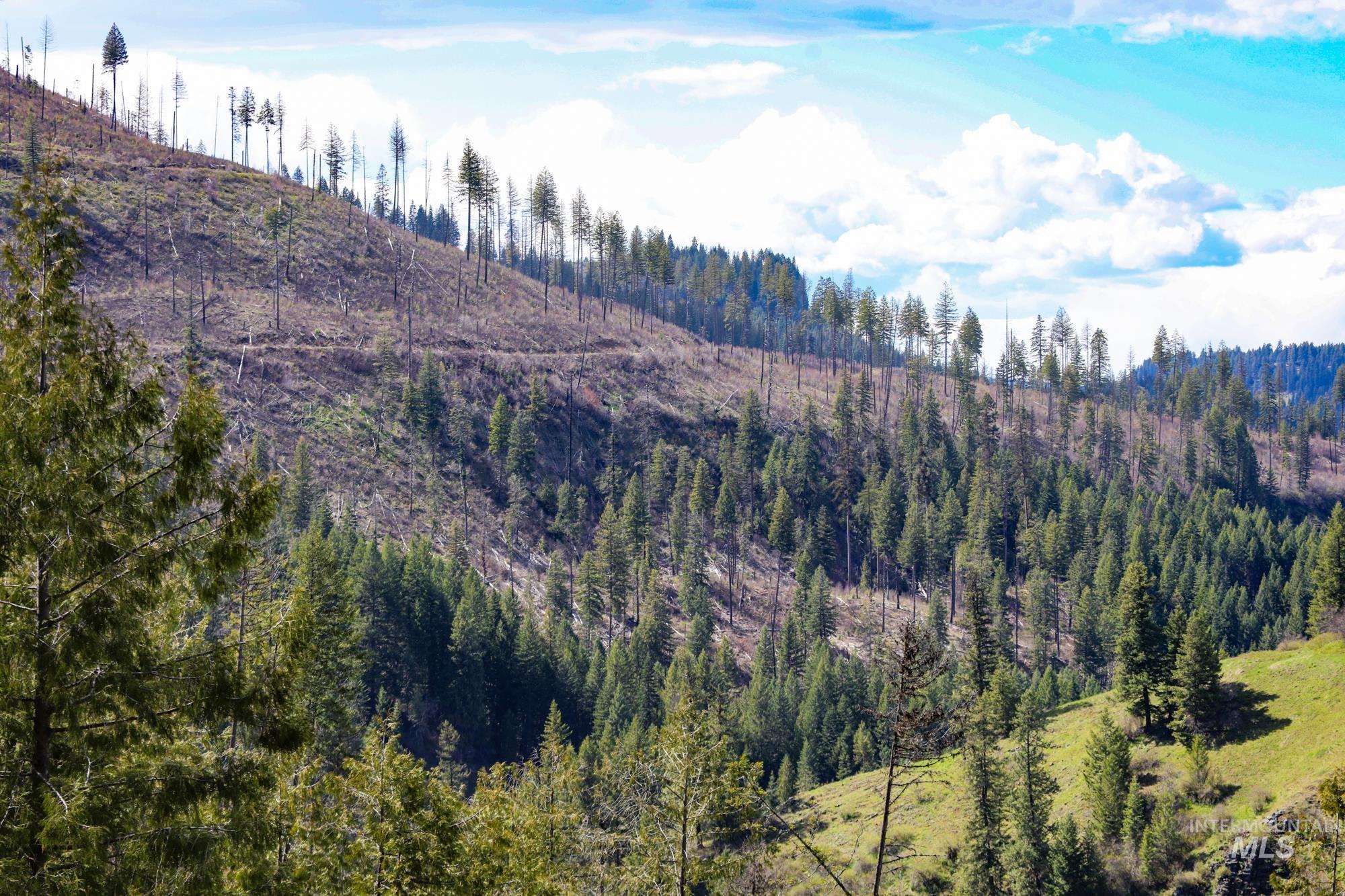 TBD Glenwood Dr, Kamiah, Idaho 83536, Farm & Ranch For Sale, Price $299,999, 98947959