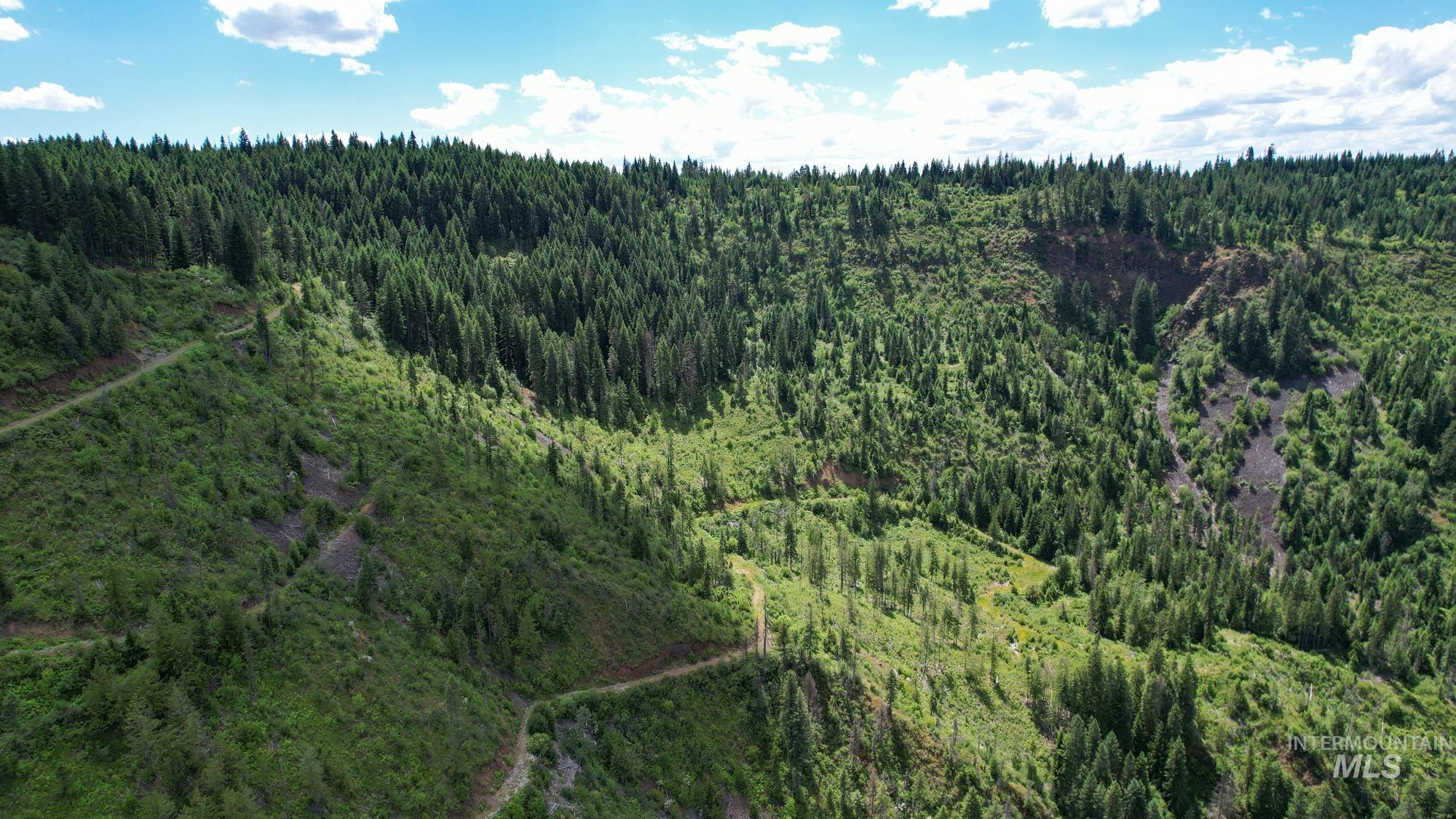 TBD Glenwood Dr, Kamiah, Idaho 83536, Farm & Ranch For Sale, Price $299,999, 98947959