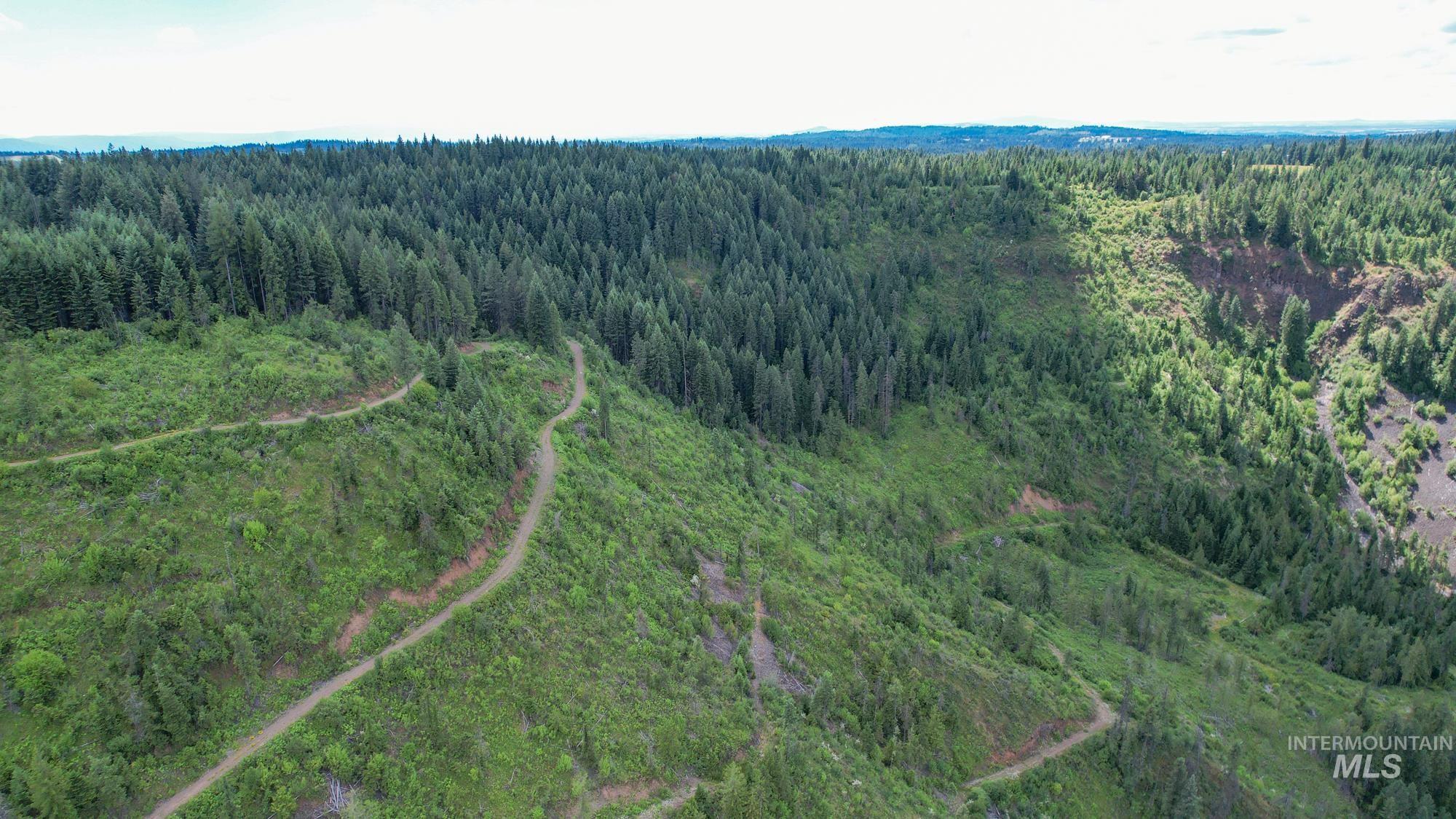 TBD Glenwood Dr, Kamiah, Idaho 83536, Farm & Ranch For Sale, Price $299,999, 98947959