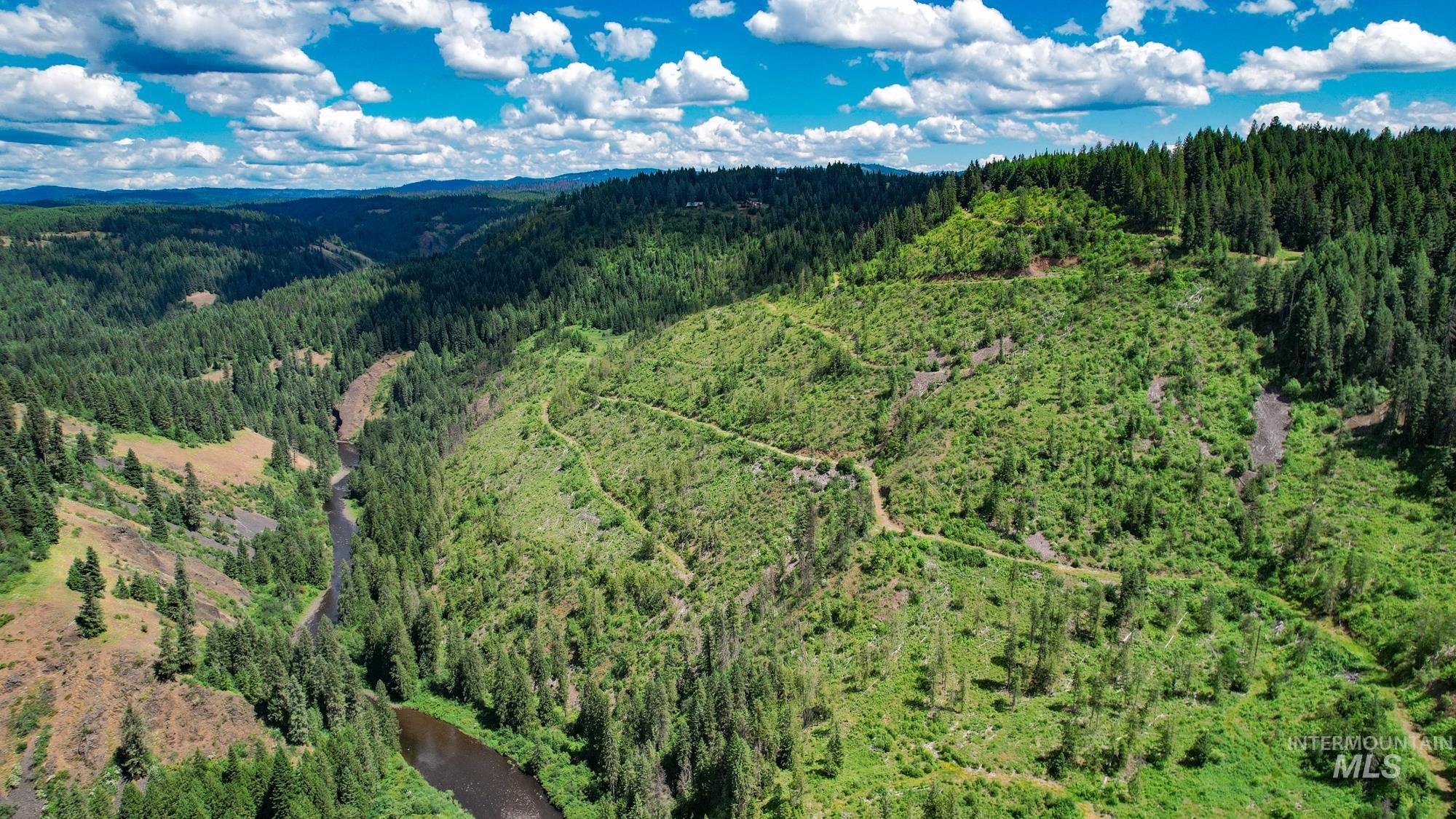 TBD Glenwood Dr, Kamiah, Idaho 83536, Farm & Ranch For Sale, Price $299,999, 98947959