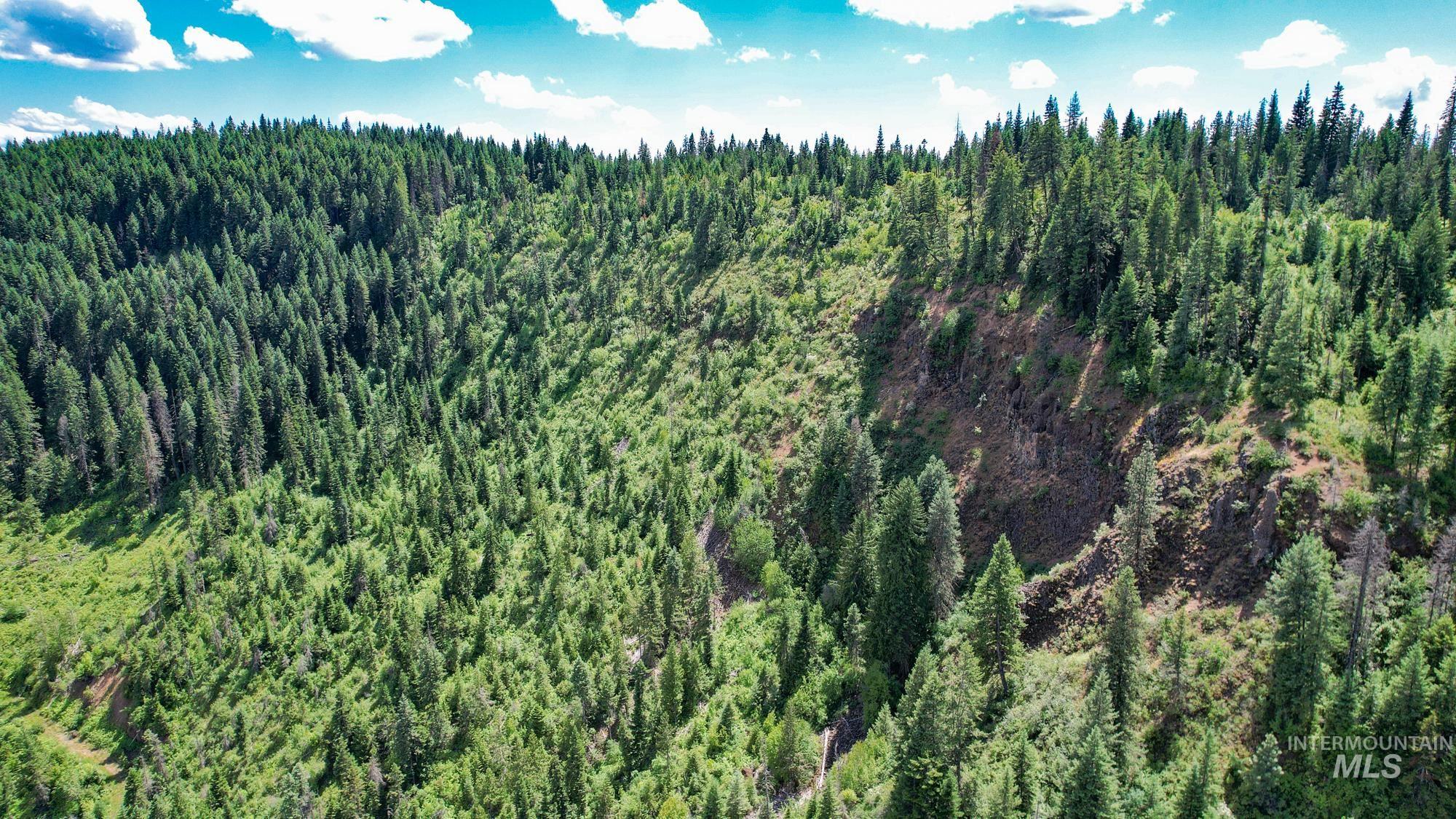 TBD Glenwood Dr, Kamiah, Idaho 83536, Farm & Ranch For Sale, Price $299,999, 98947959