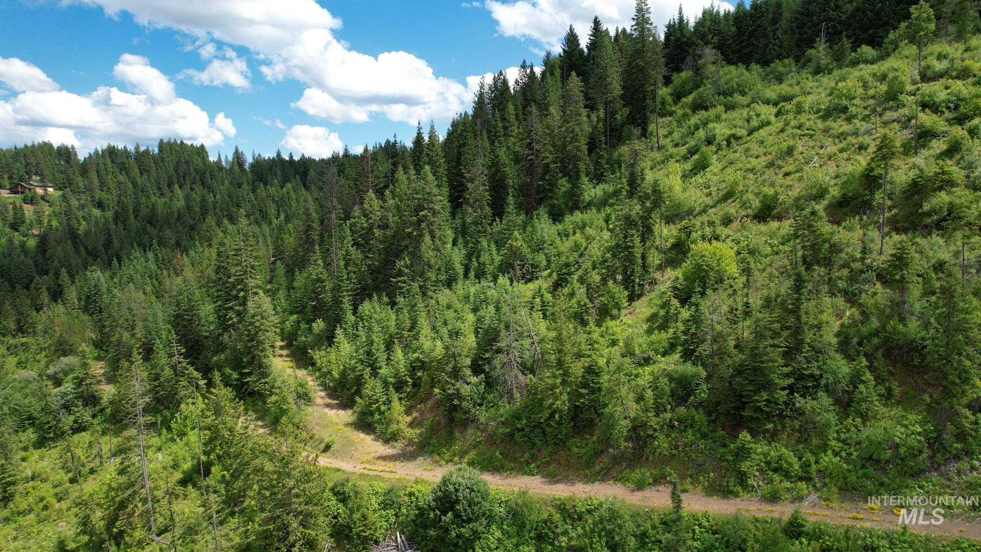 TBD Glenwood Dr, Kamiah, Idaho 83536, Farm & Ranch For Sale, Price $299,999, 98947959