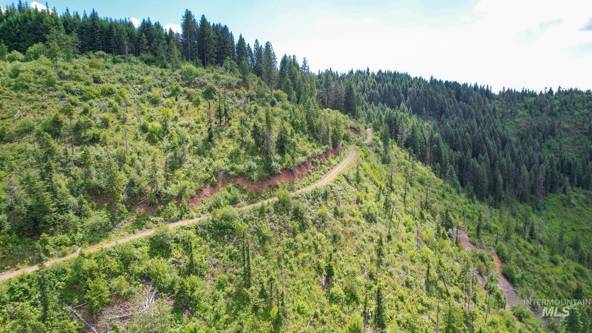 TBD Glenwood Dr, Kamiah, Idaho 83536, Farm & Ranch For Sale, Price $299,999, 98947959