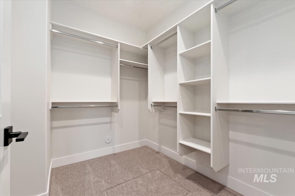Walk in closet featuring carpet floors