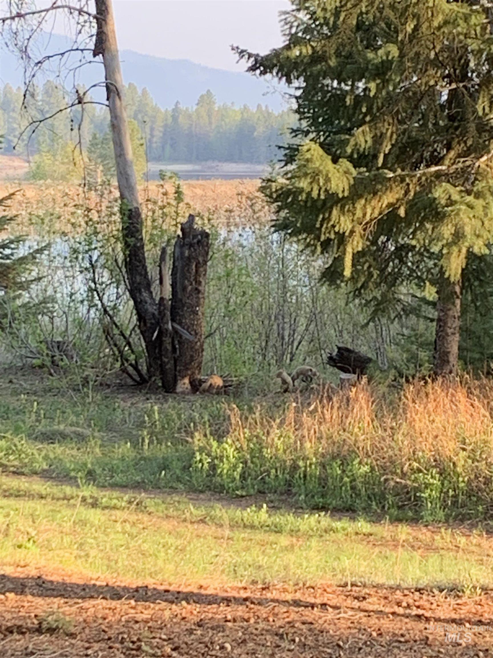 136 Paradise Lane, Donnelly, Idaho 83615, 3 Bedrooms, 2 Bathrooms, Residential For Sale, Price $925,000,MLS 98948134