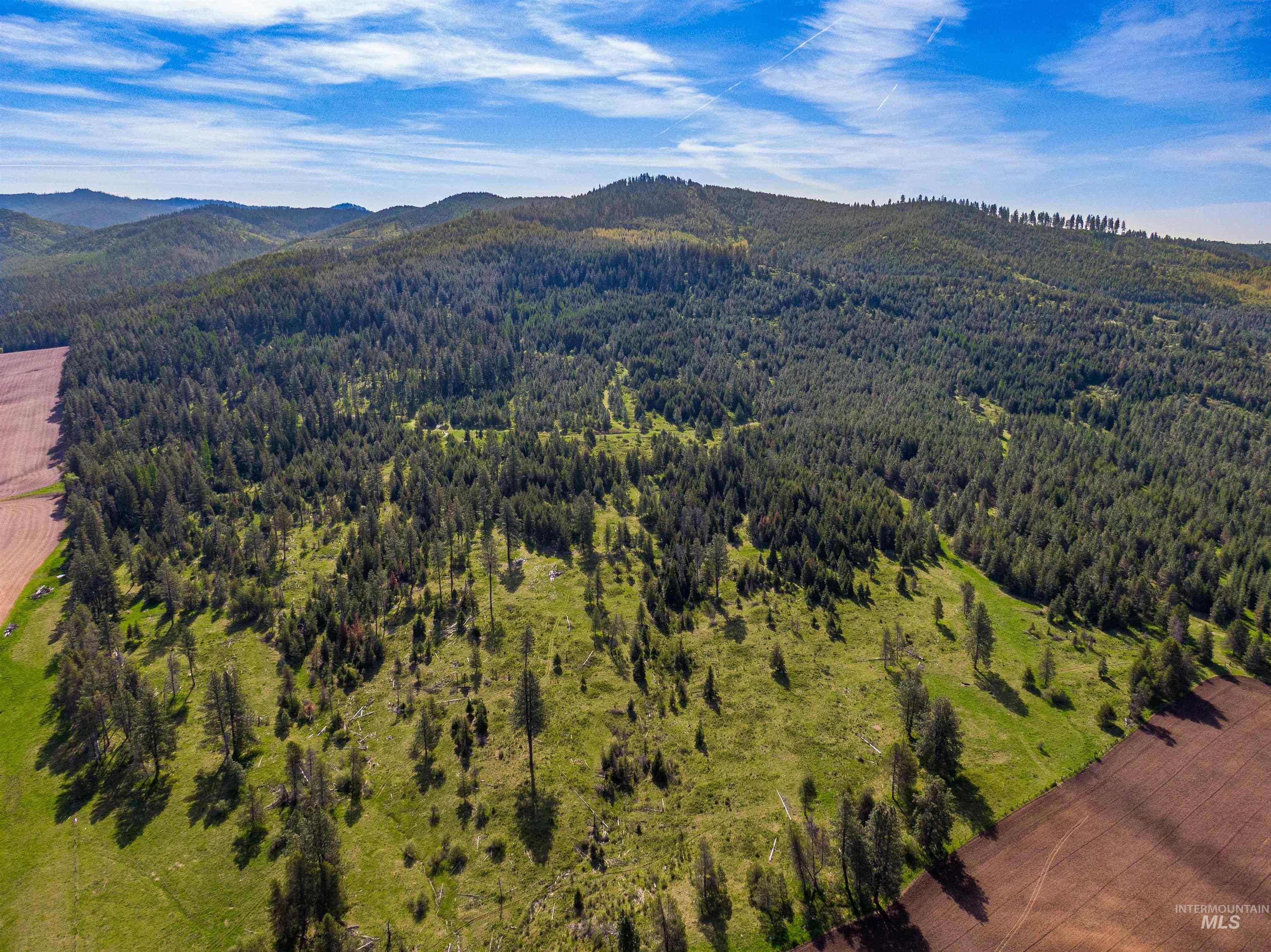 1101 Ruby Creek Rd, Harvard, Idaho 83834, 4 Bedrooms, 2 Bathrooms, Farm & Ranch For Sale, Price $3,995,000,MLS 98948330