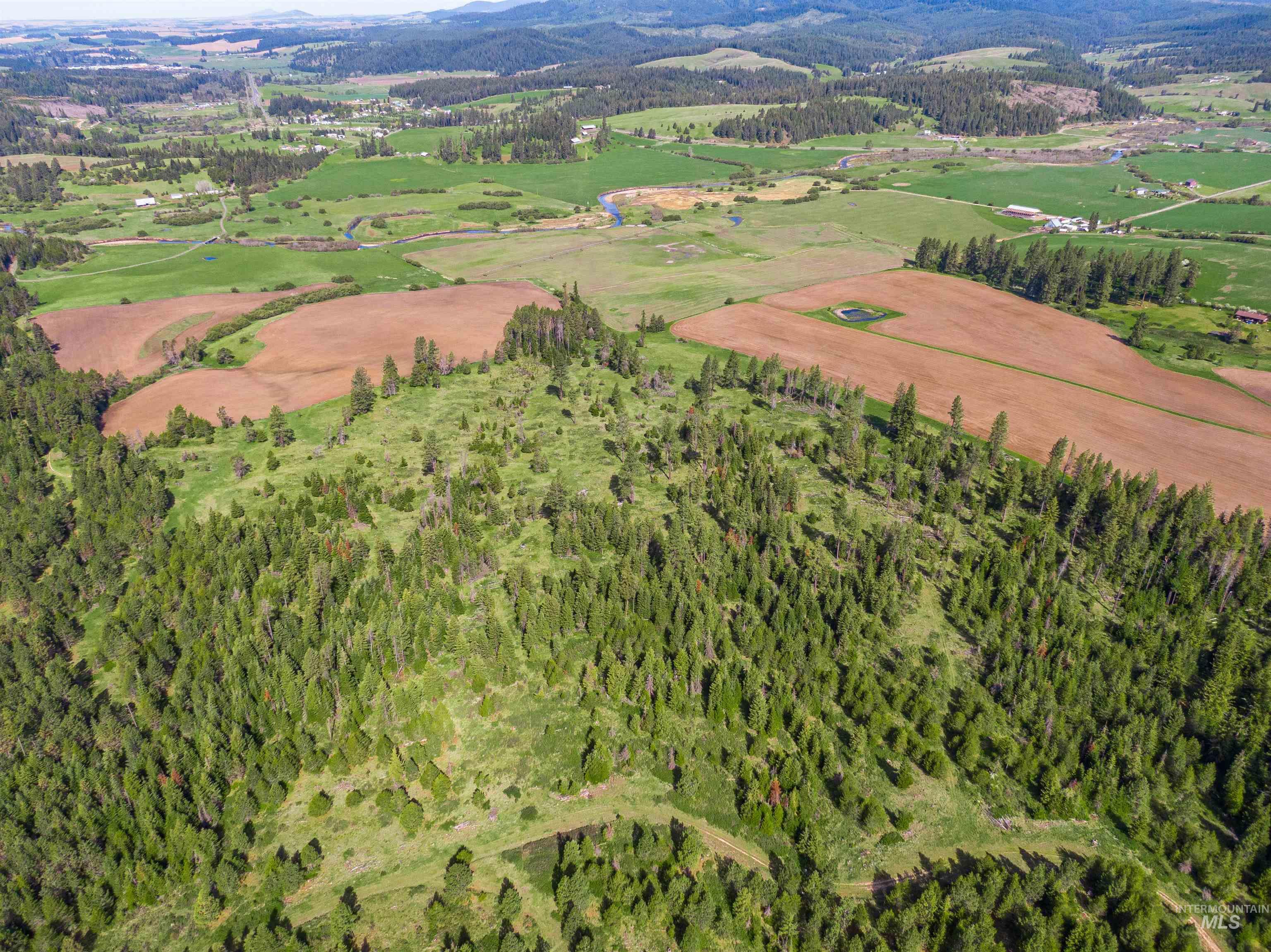 1101 Ruby Creek Rd, Harvard, Idaho 83834, 4 Bedrooms, 2 Bathrooms, Farm & Ranch For Sale, Price $3,995,000,MLS 98948330