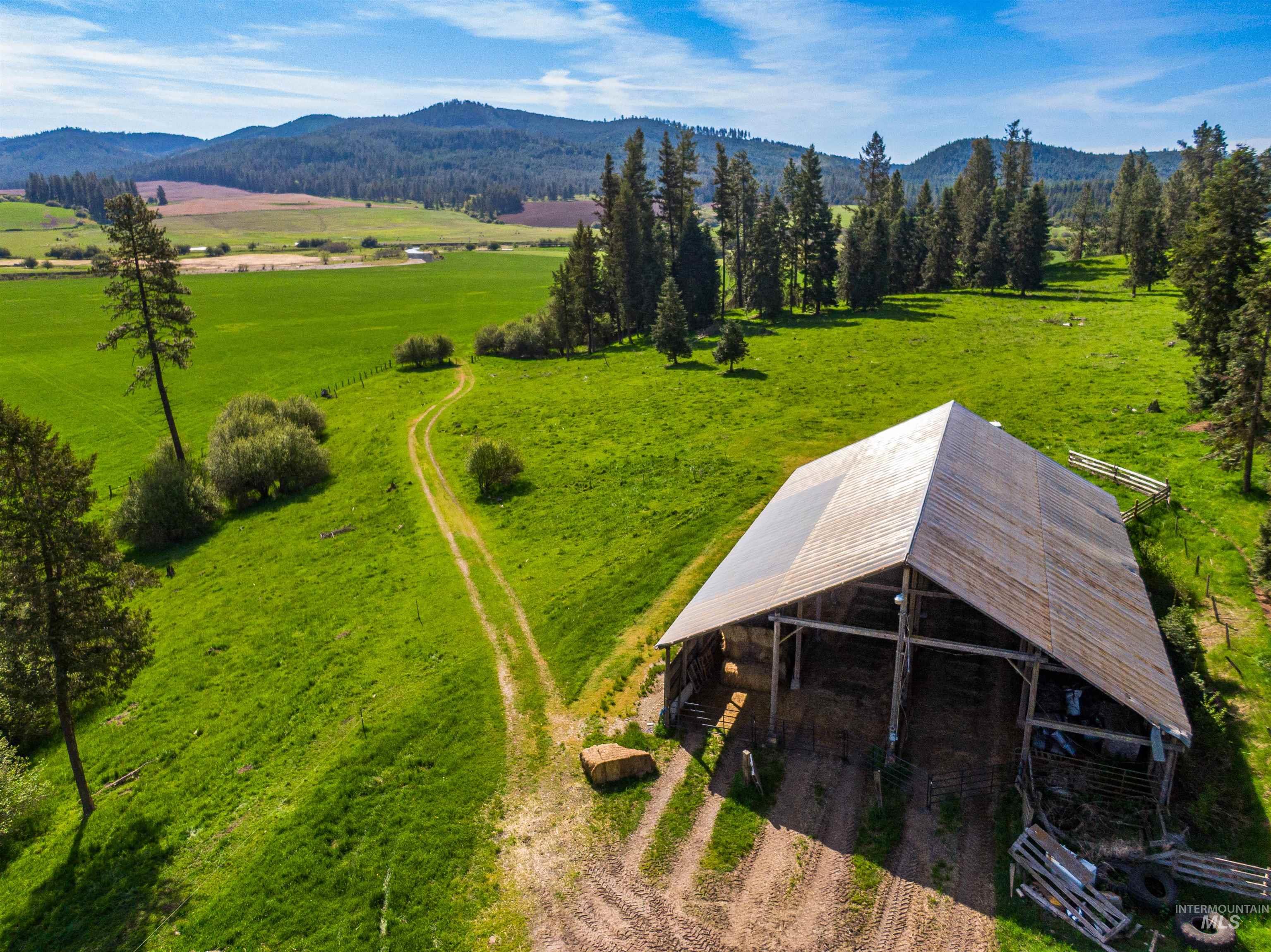 1101 Ruby Creek Rd, Harvard, Idaho 83834, 4 Bedrooms, 2 Bathrooms, Farm & Ranch For Sale, Price $3,995,000,MLS 98948330