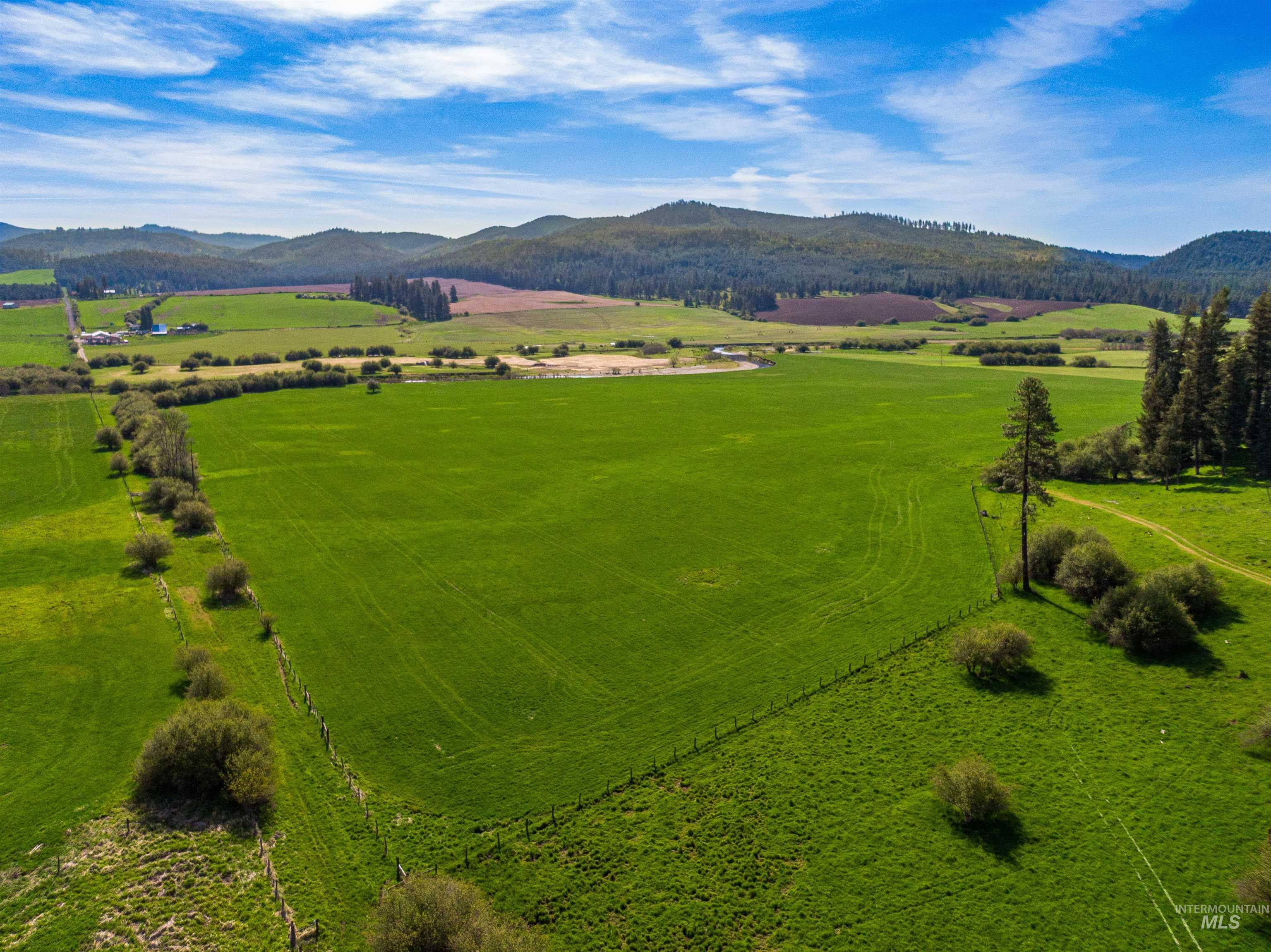 1101 Ruby Creek Rd, Harvard, Idaho 83834, 4 Bedrooms, 2 Bathrooms, Farm & Ranch For Sale, Price $3,995,000,MLS 98948330