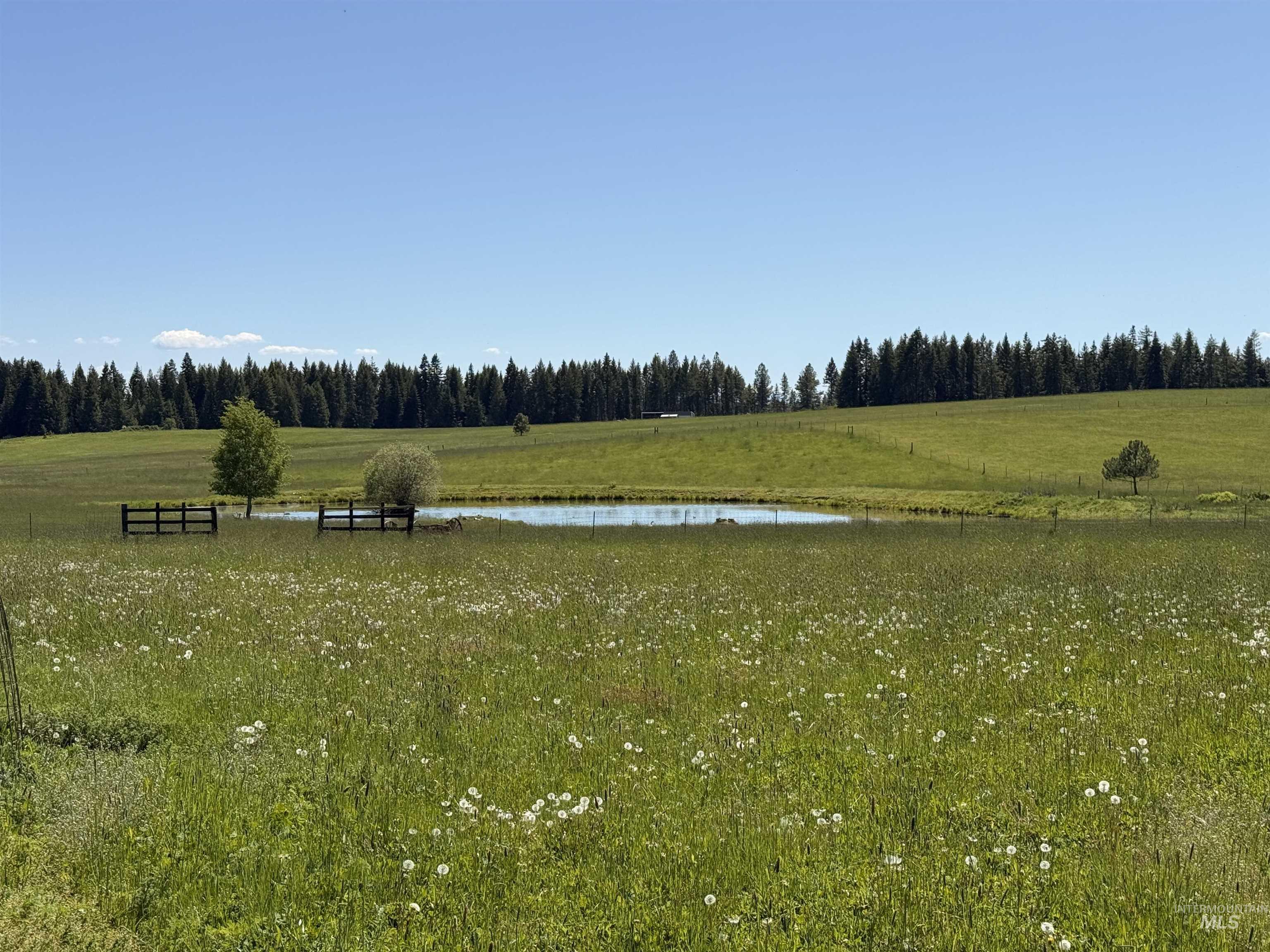 5656 Three Mile Road, Weippe, Idaho 83553, 2 Bedrooms, 2 Bathrooms, Residential For Sale, Price $499,000,MLS 98948544