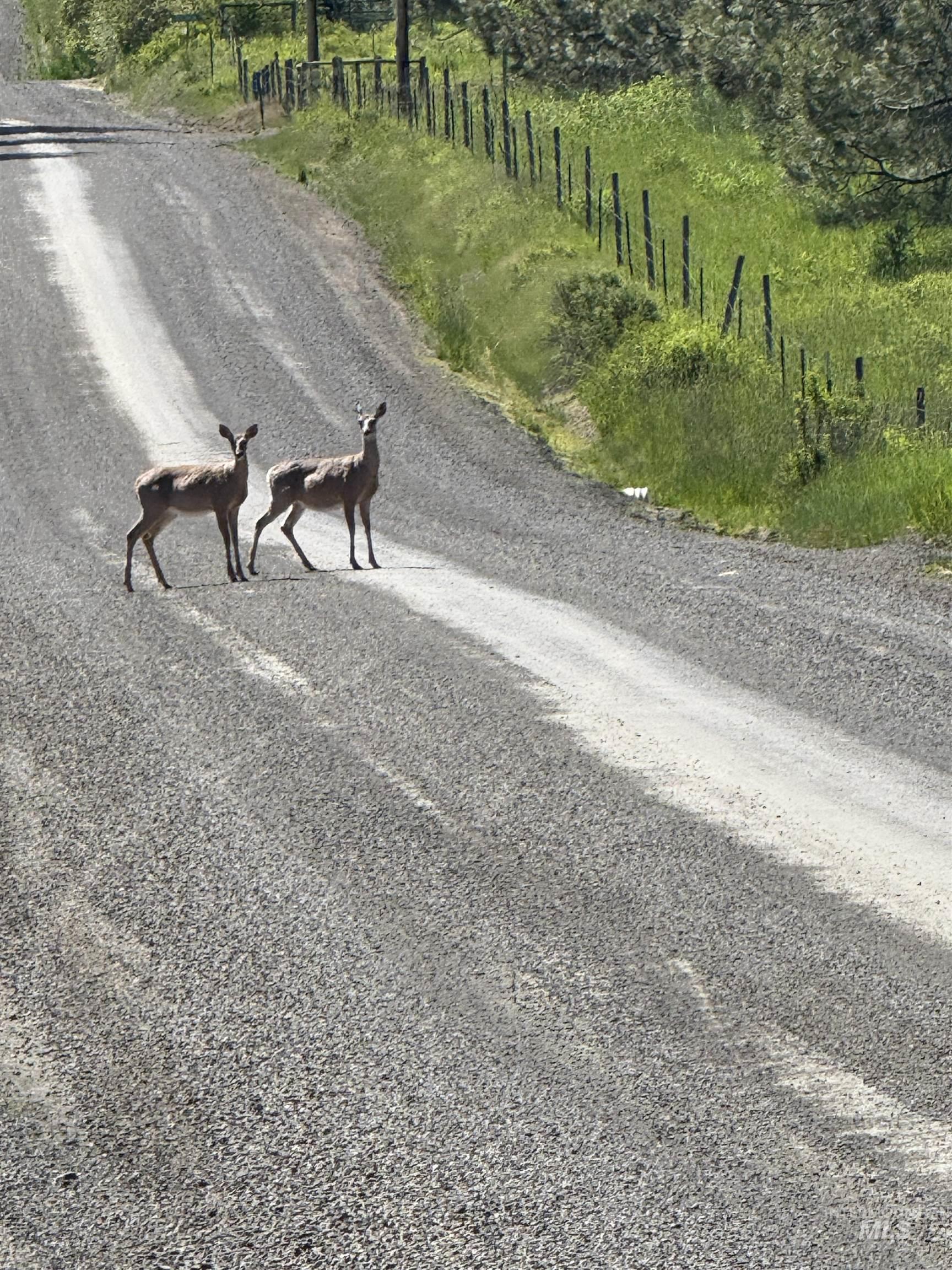 5656 Three Mile Road, Weippe, Idaho 83553, 2 Bedrooms, 2 Bathrooms, Residential For Sale, Price $499,000,MLS 98948544