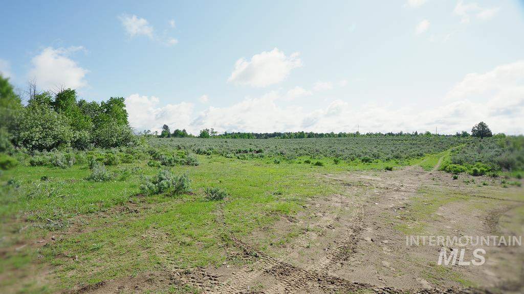 1555 Sadorus Hill Road, Ashton, Idaho 83420, Land For Sale, Price $25,000,000,MLS 98948571