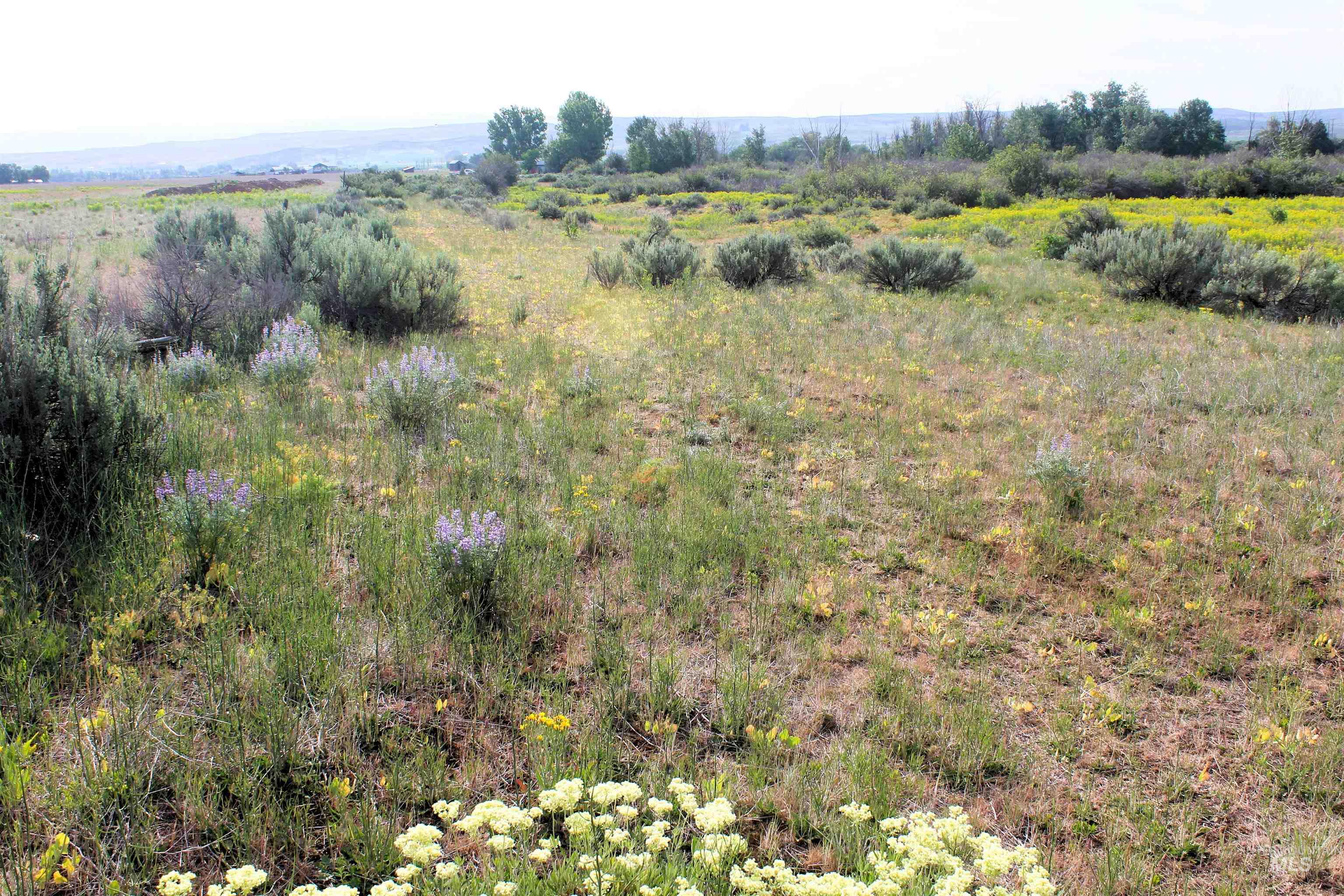 TBD Sage Creek Rd. (Parcel A), Midvale, Idaho 83645, Land For Sale, Price $162,000,MLS 98948698
