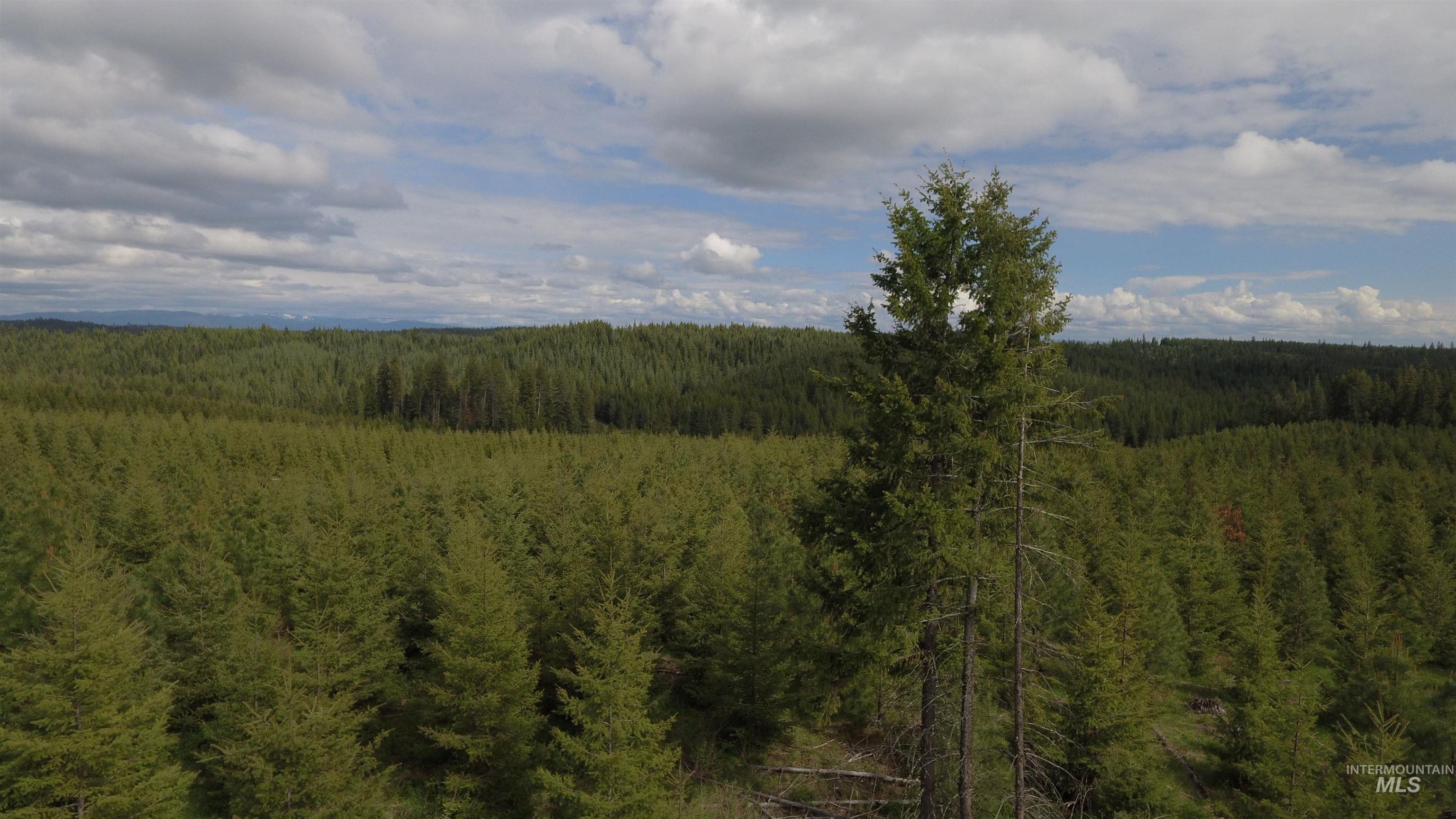TBD Badger Ridge Dr Parcel 3, Orofino, Idaho 83544, Land For Sale, Price $213,900,MLS 98948740