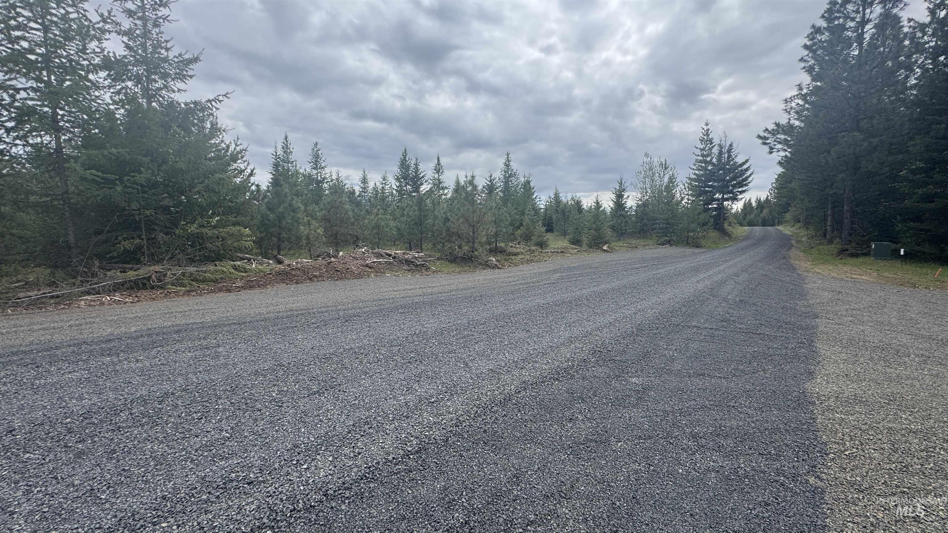 TBD Badger Ridge Dr Parcel 3, Orofino, Idaho 83544, Land For Sale, Price $213,900,MLS 98948740