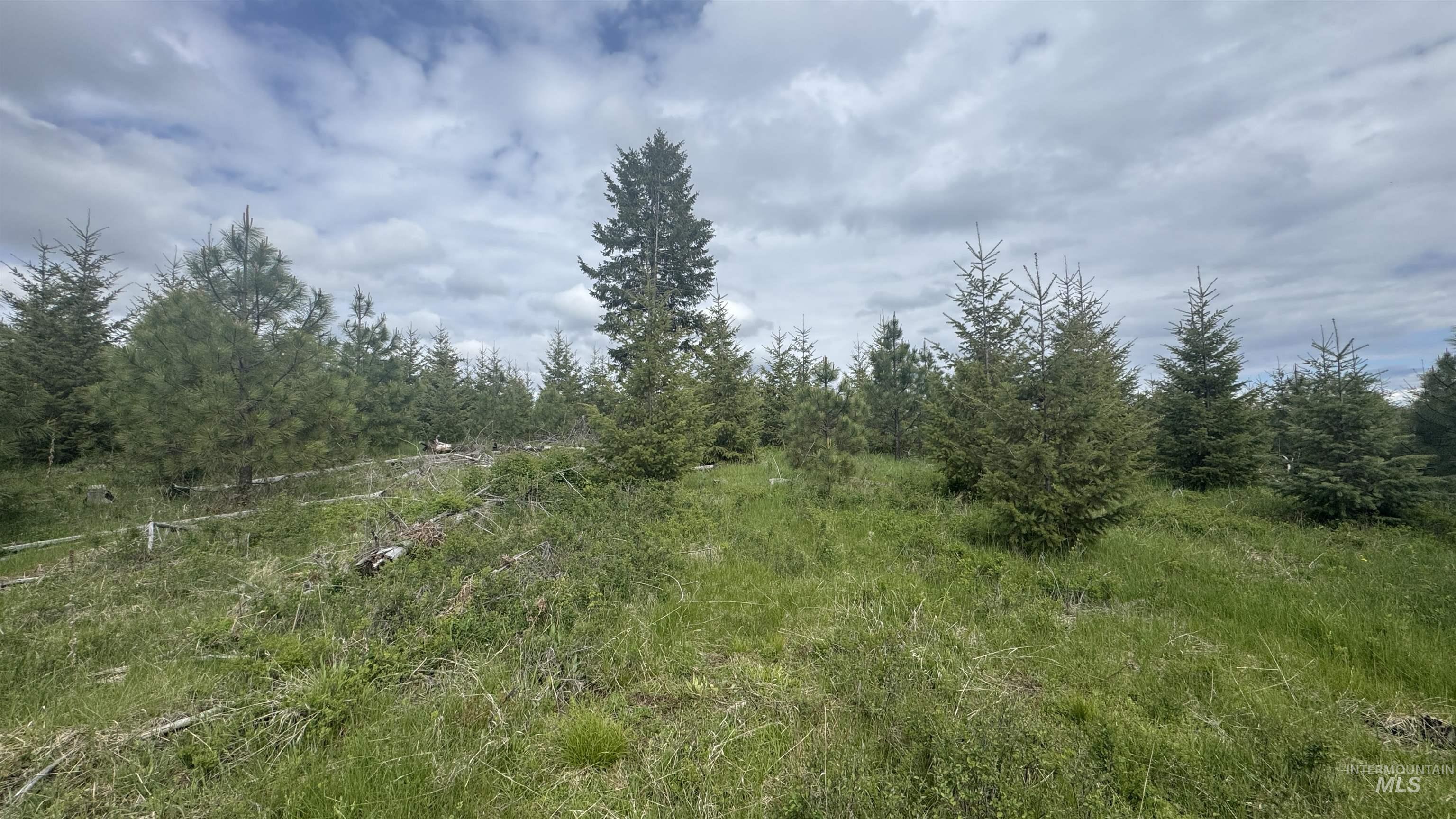 TBD Badger Ridge Dr Parcel 3, Orofino, Idaho 83544, Land For Sale, Price $213,900,MLS 98948740