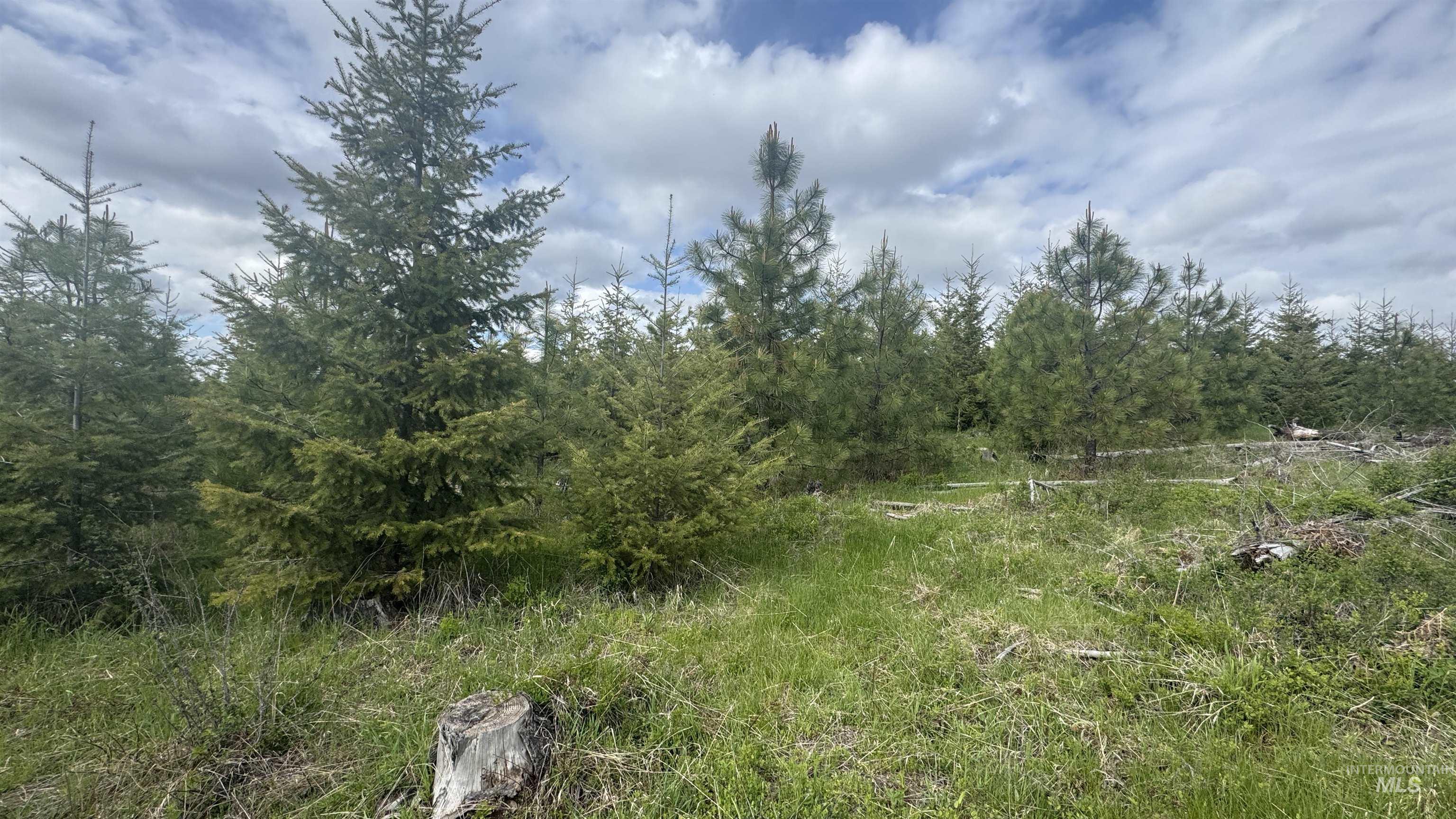 TBD Badger Ridge Dr Parcel 3, Orofino, Idaho 83544, Land For Sale, Price $213,900,MLS 98948740