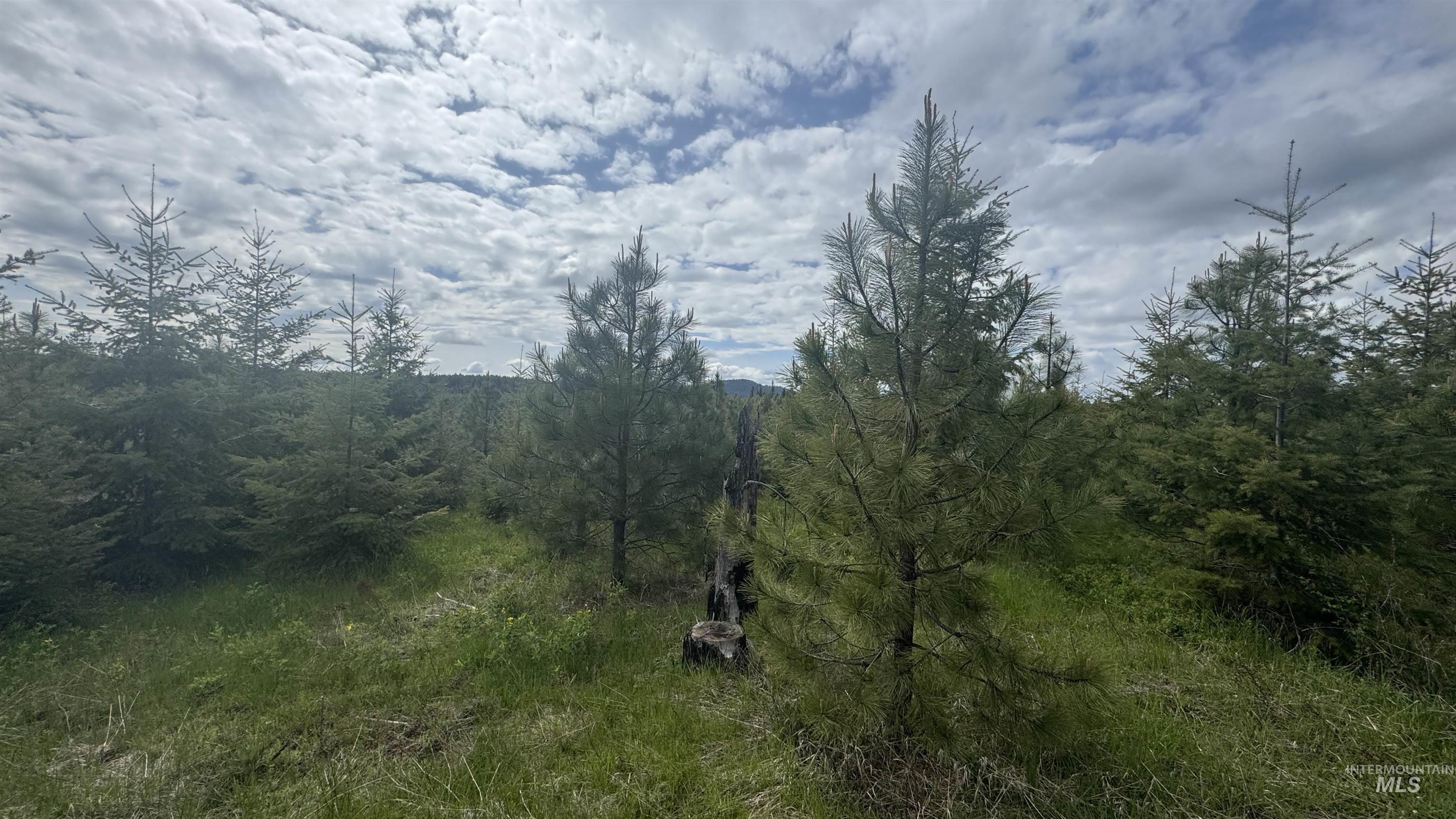 TBD Badger Ridge Dr Parcel 3, Orofino, Idaho 83544, Land For Sale, Price $213,900,MLS 98948740