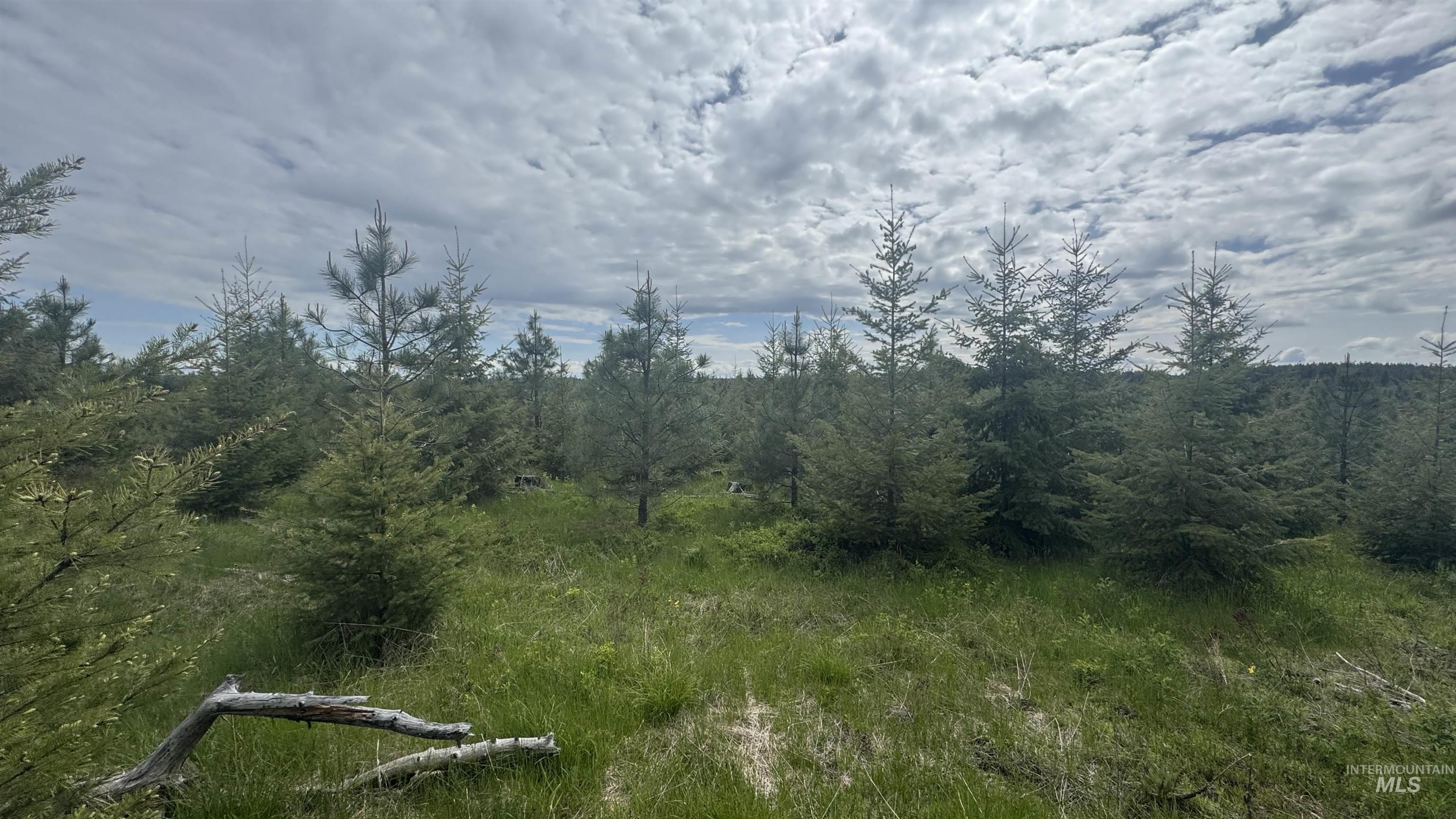 TBD Badger Ridge Dr Parcel 3, Orofino, Idaho 83544, Land For Sale, Price $213,900,MLS 98948740
