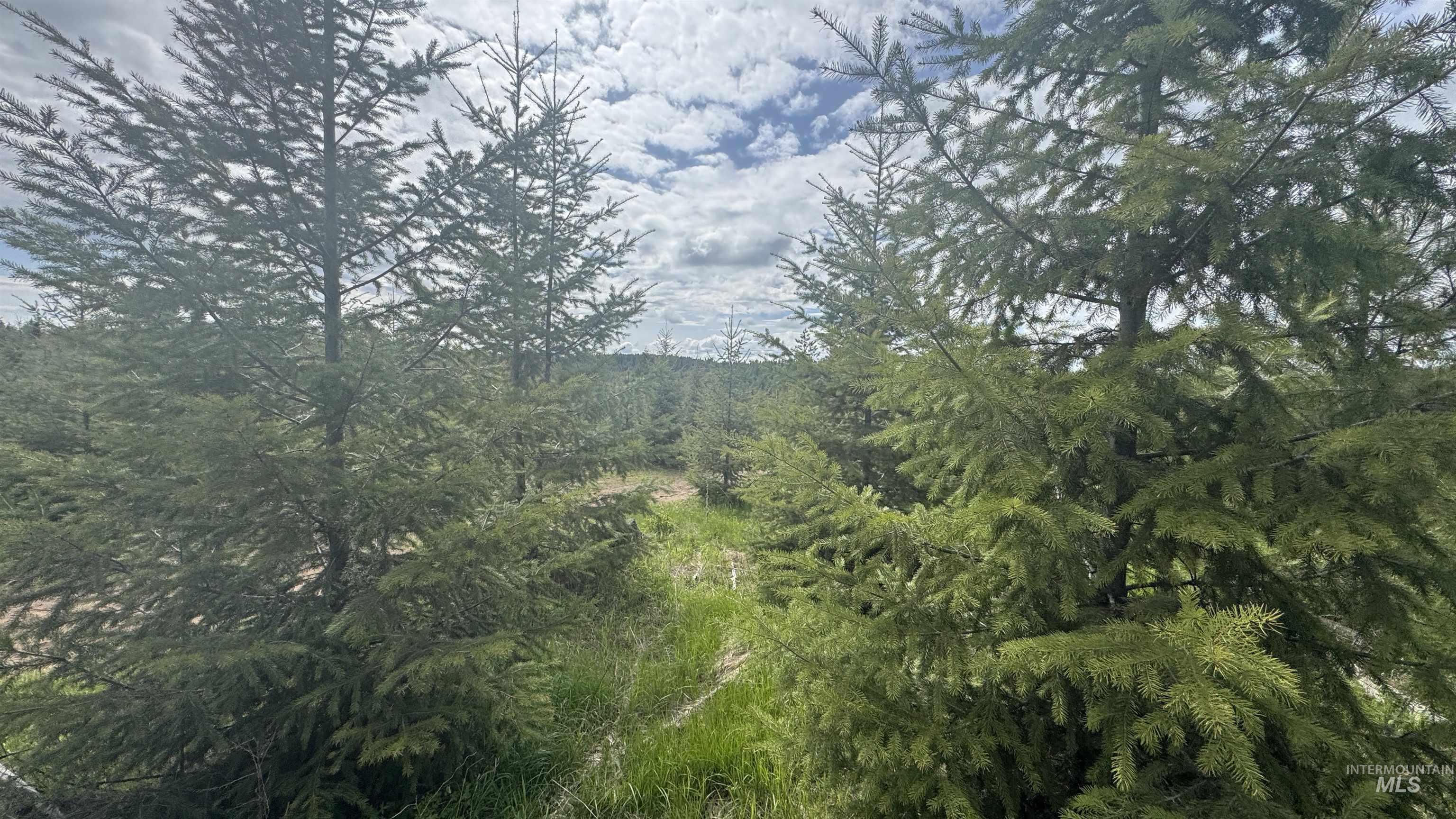 TBD Badger Ridge Dr Parcel 3, Orofino, Idaho 83544, Land For Sale, Price $213,900,MLS 98948740