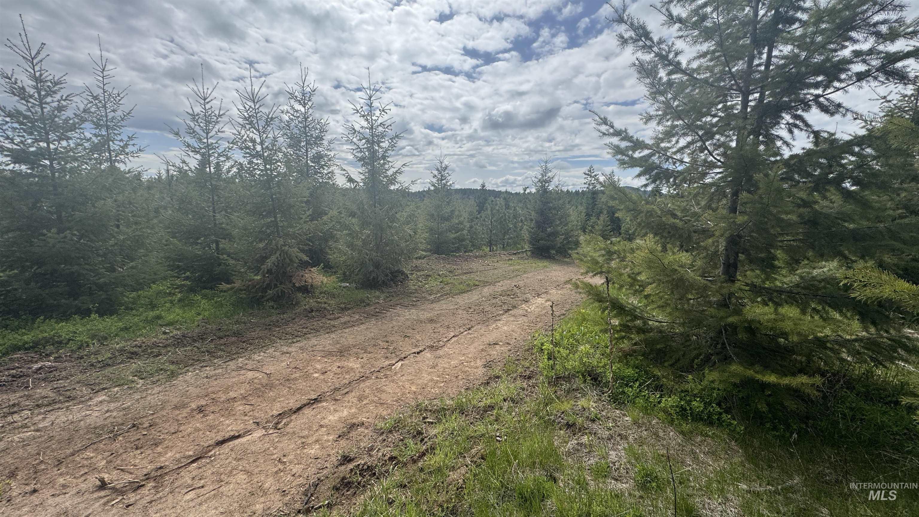 TBD Badger Ridge Dr Parcel 3, Orofino, Idaho 83544, Land For Sale, Price $213,900,MLS 98948740