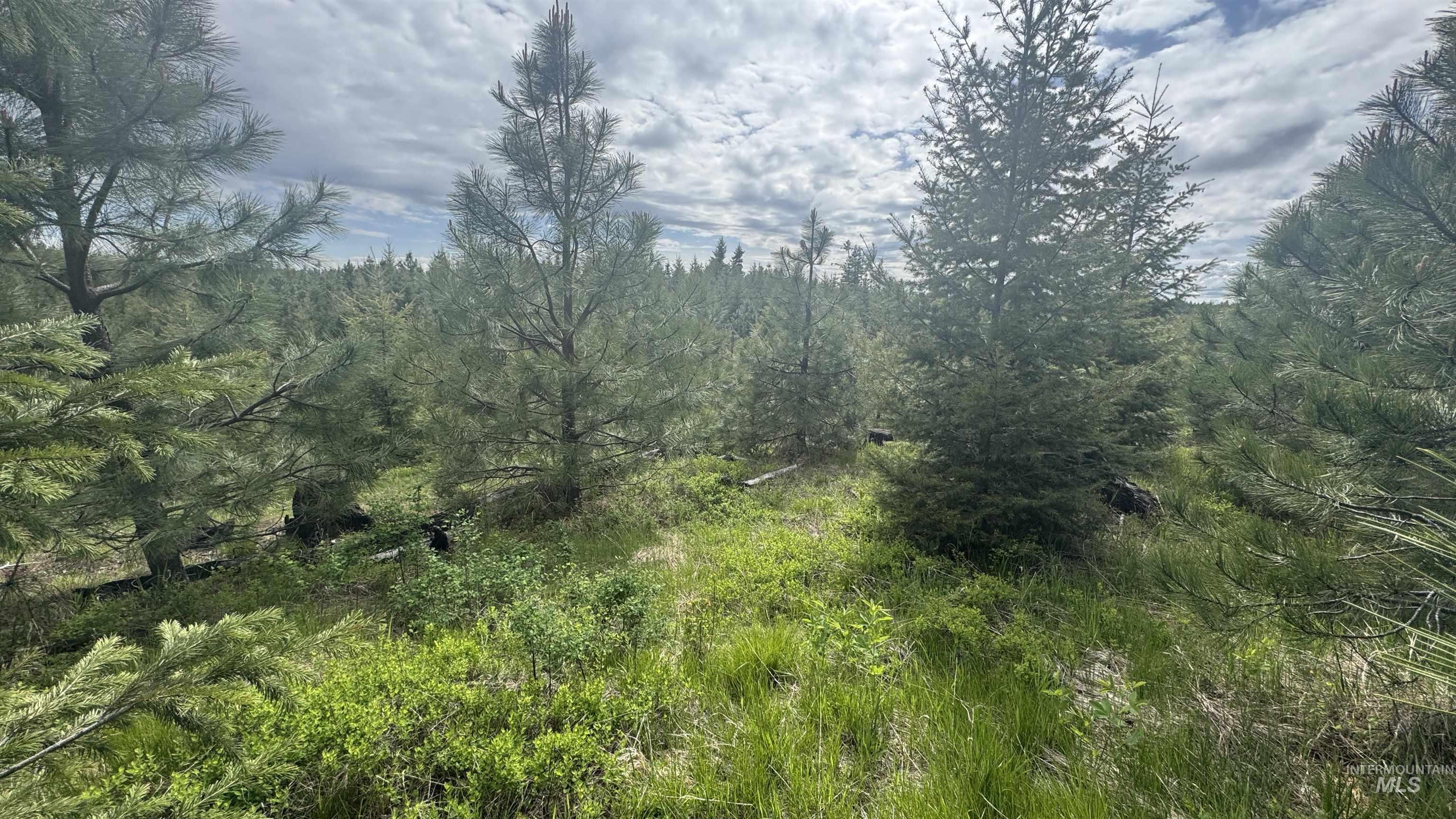TBD Badger Ridge Dr Parcel 3, Orofino, Idaho 83544, Land For Sale, Price $213,900,MLS 98948740