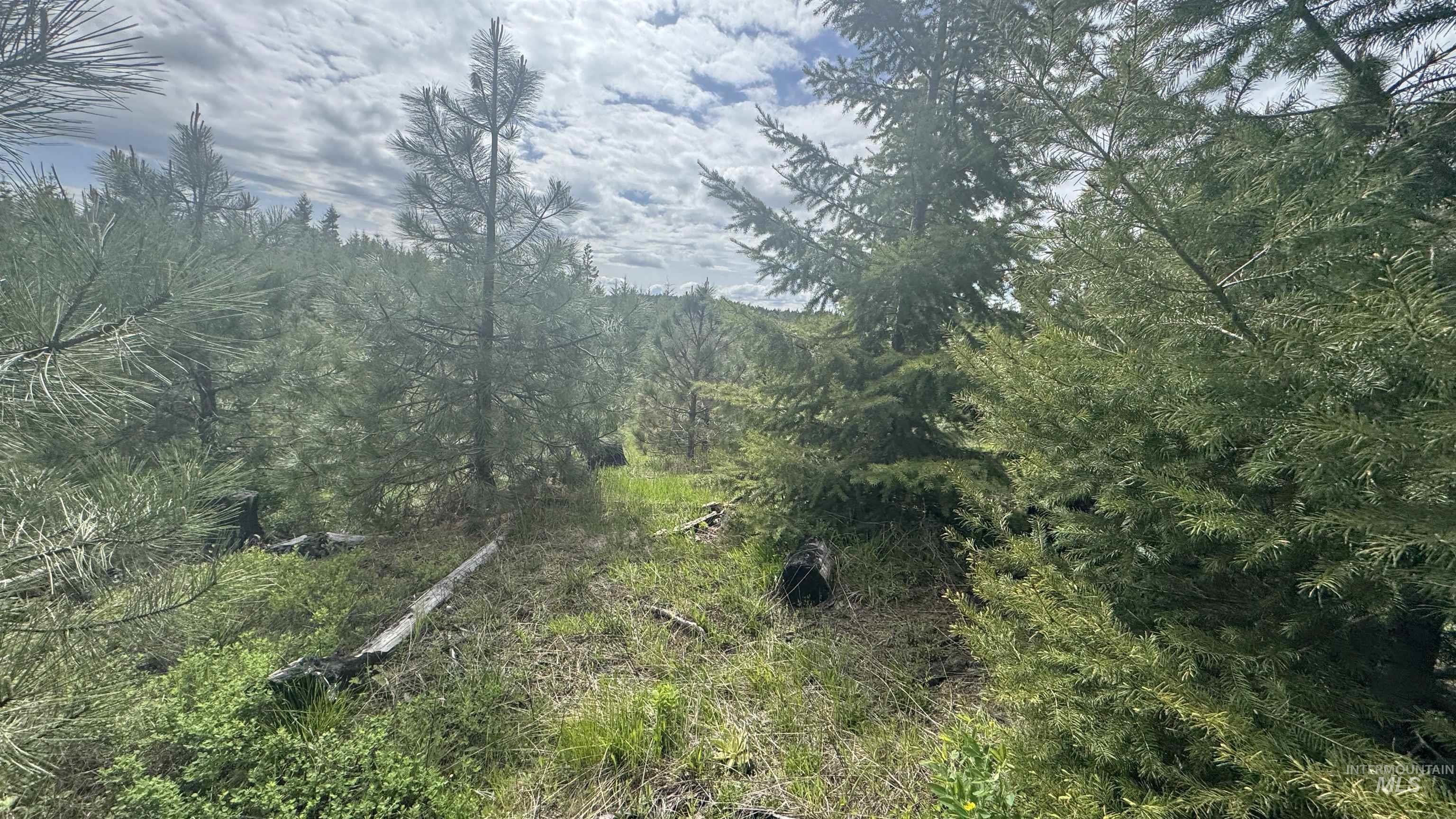 TBD Badger Ridge Dr Parcel 3, Orofino, Idaho 83544, Land For Sale, Price $213,900,MLS 98948740