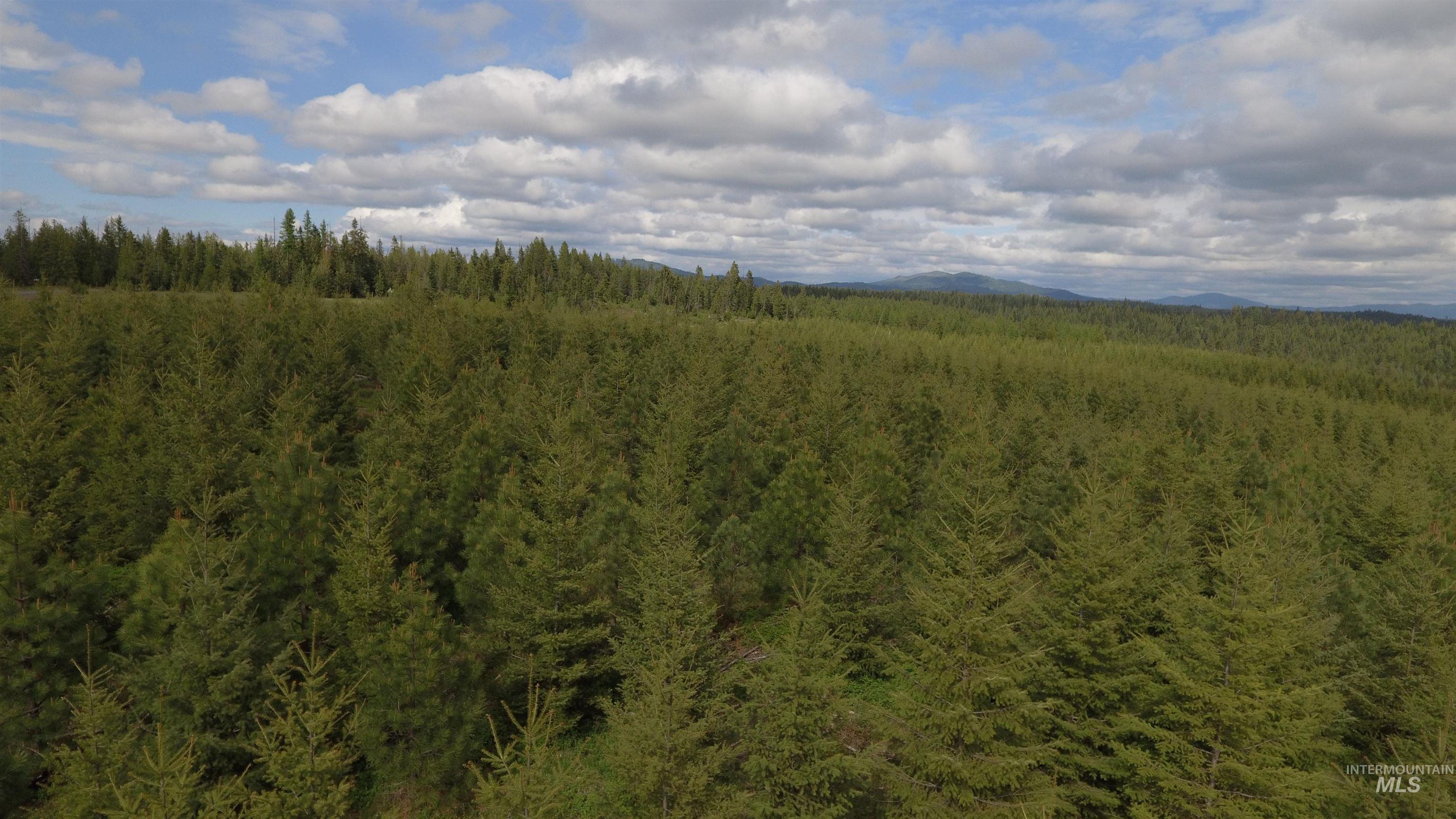 TBD Badger Ridge Dr Parcel 3, Orofino, Idaho 83544, Land For Sale, Price $213,900,MLS 98948740