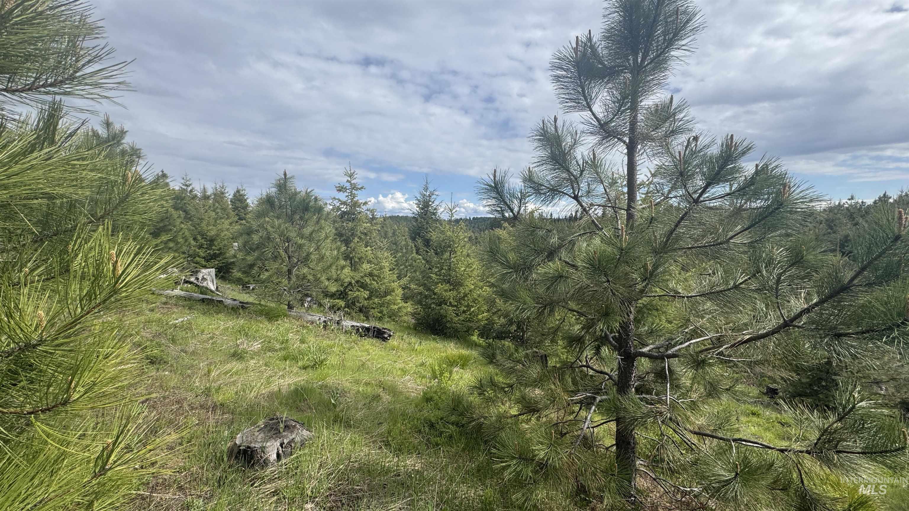 TBD Badger Ridge Dr Parcel 3, Orofino, Idaho 83544, Land For Sale, Price $213,900,MLS 98948740