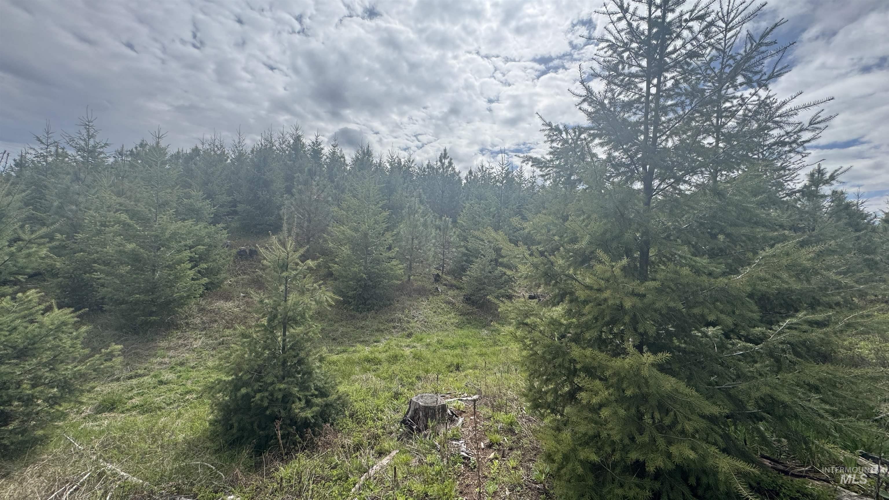 TBD Badger Ridge Dr Parcel 3, Orofino, Idaho 83544, Land For Sale, Price $213,900,MLS 98948740