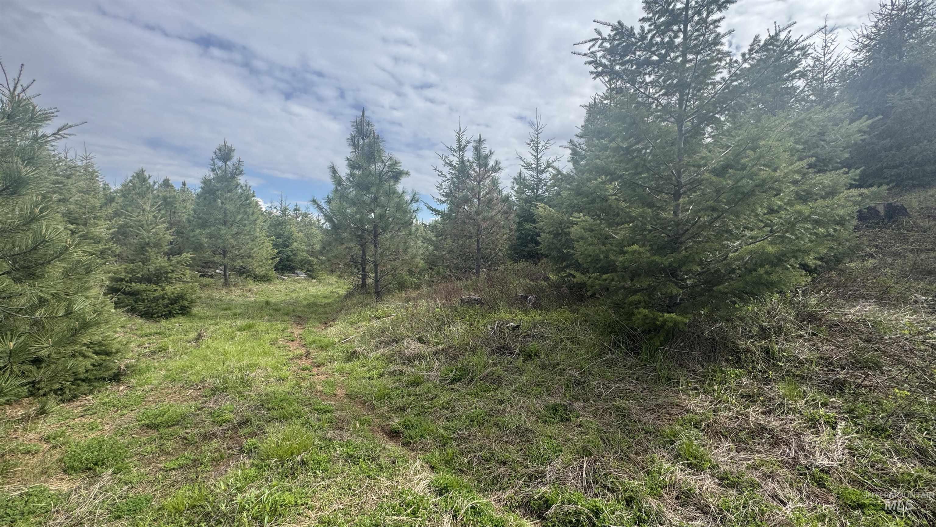 TBD Badger Ridge Dr Parcel 3, Orofino, Idaho 83544, Land For Sale, Price $213,900,MLS 98948740