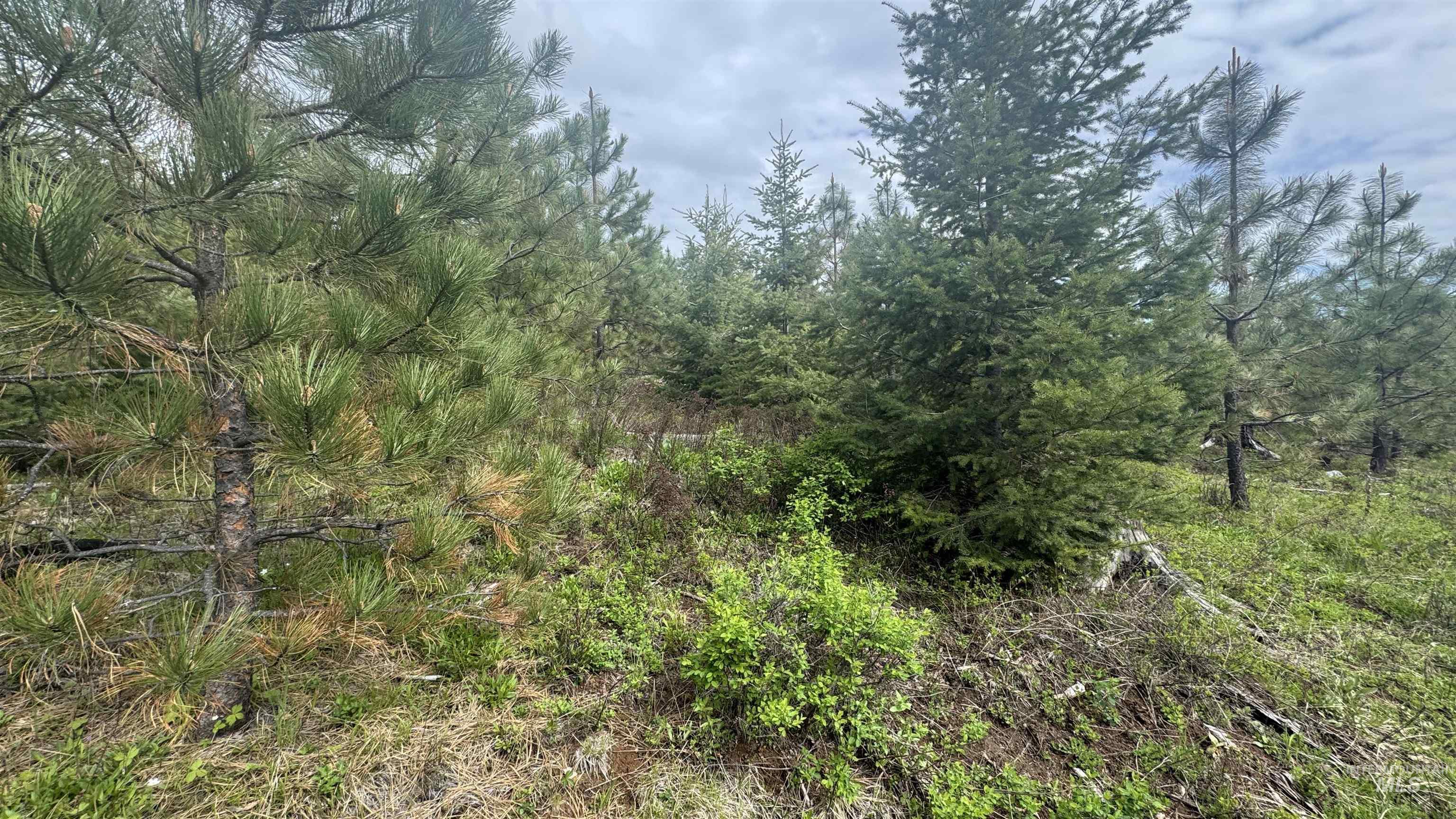 TBD Badger Ridge Dr Parcel 3, Orofino, Idaho 83544, Land For Sale, Price $213,900,MLS 98948740