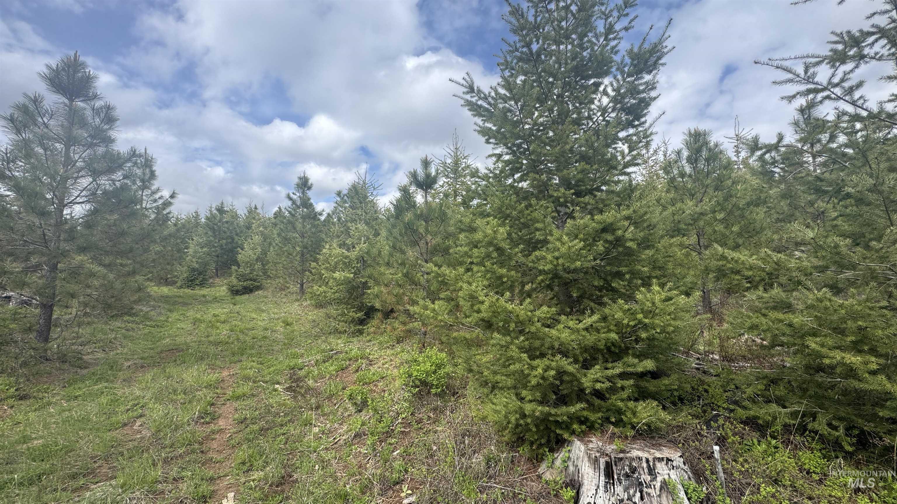 TBD Badger Ridge Dr Parcel 3, Orofino, Idaho 83544, Land For Sale, Price $213,900,MLS 98948740