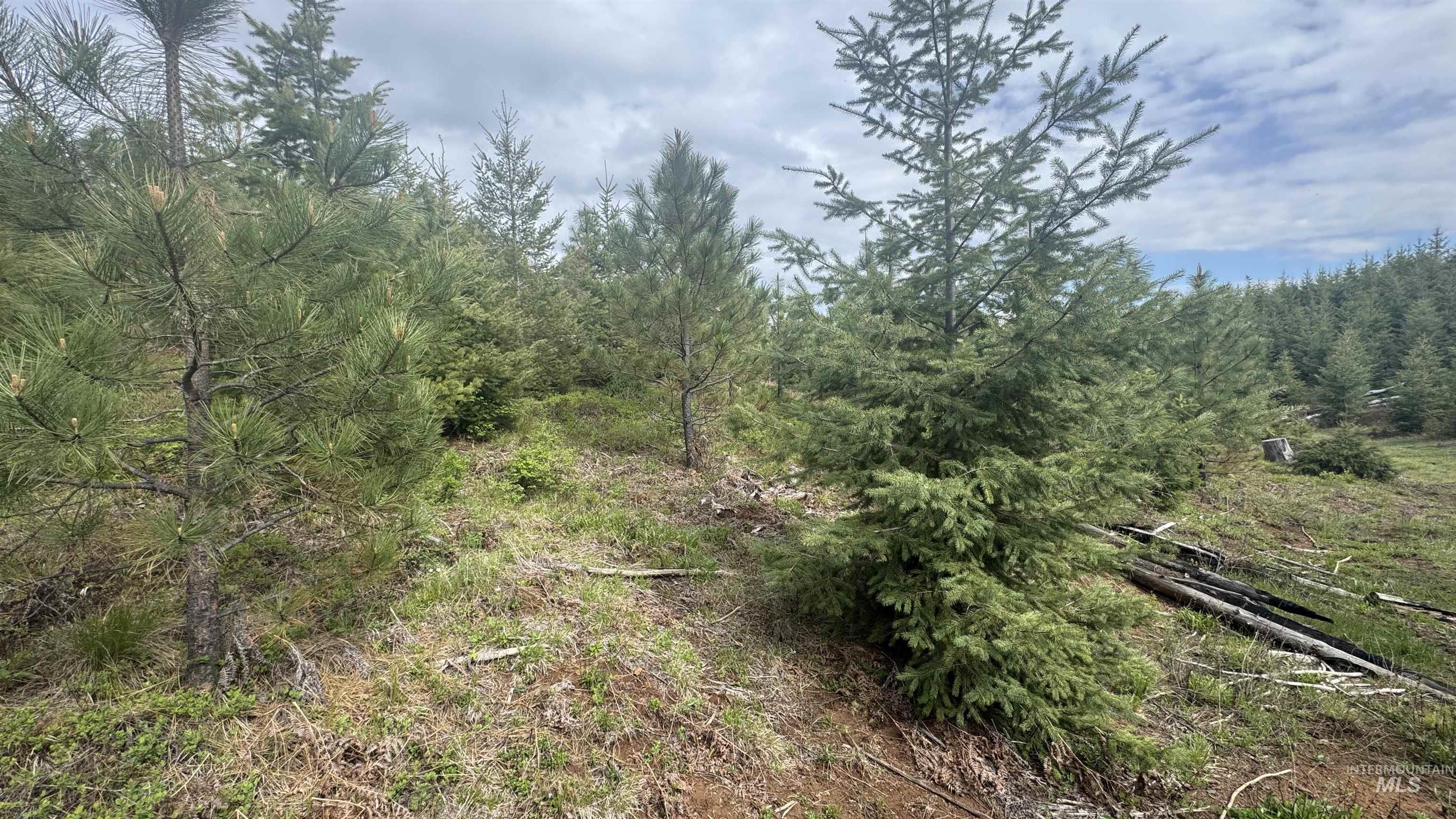 TBD Badger Ridge Dr Parcel 3, Orofino, Idaho 83544, Land For Sale, Price $213,900,MLS 98948740