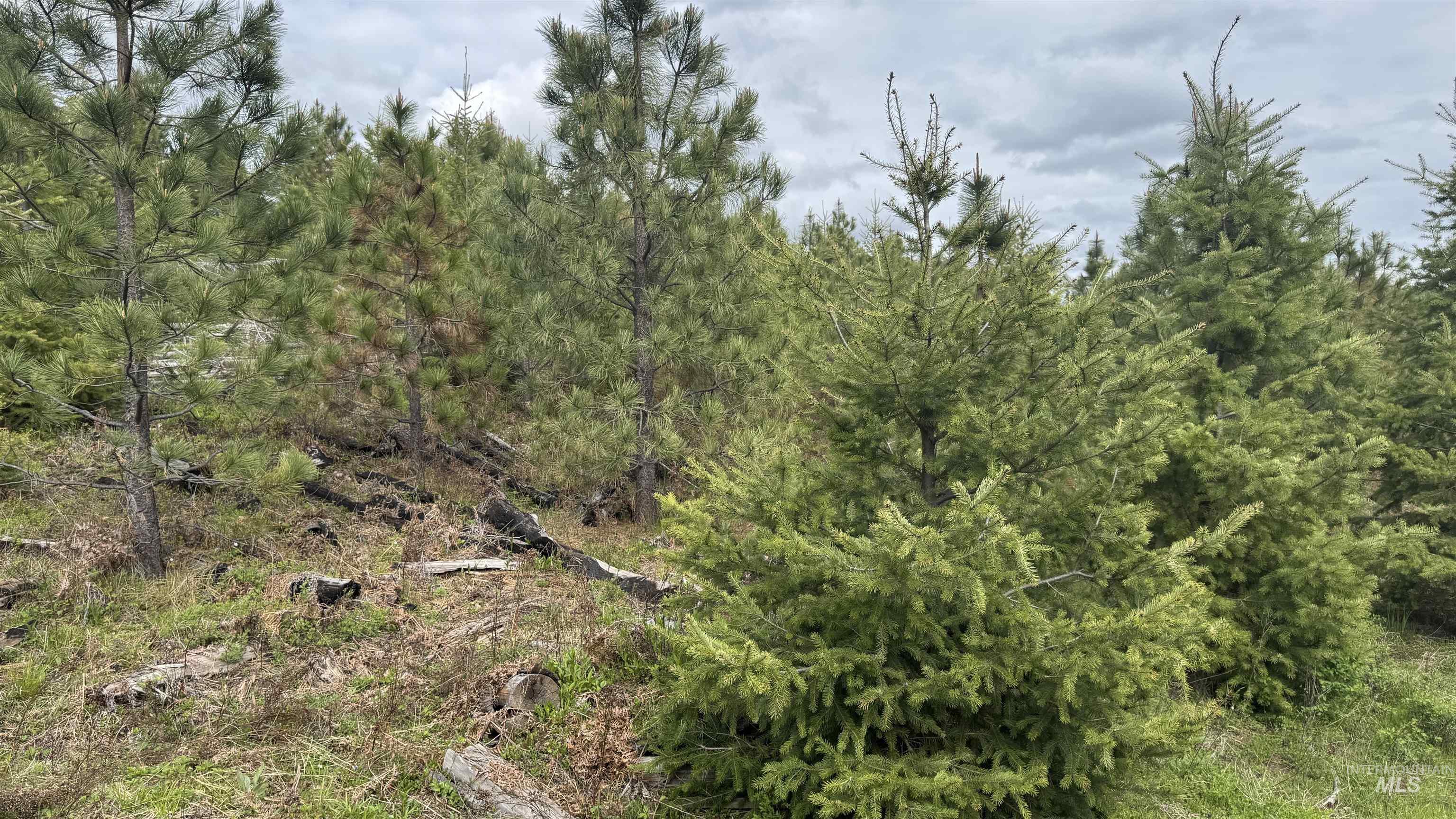 TBD Badger Ridge Dr Parcel 3, Orofino, Idaho 83544, Land For Sale, Price $213,900,MLS 98948740