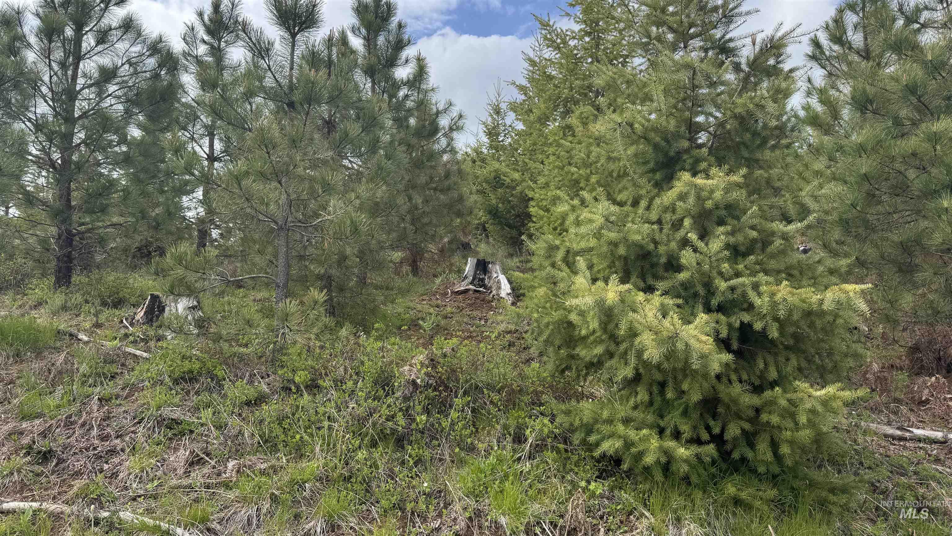 TBD Badger Ridge Dr Parcel 3, Orofino, Idaho 83544, Land For Sale, Price $213,900,MLS 98948740